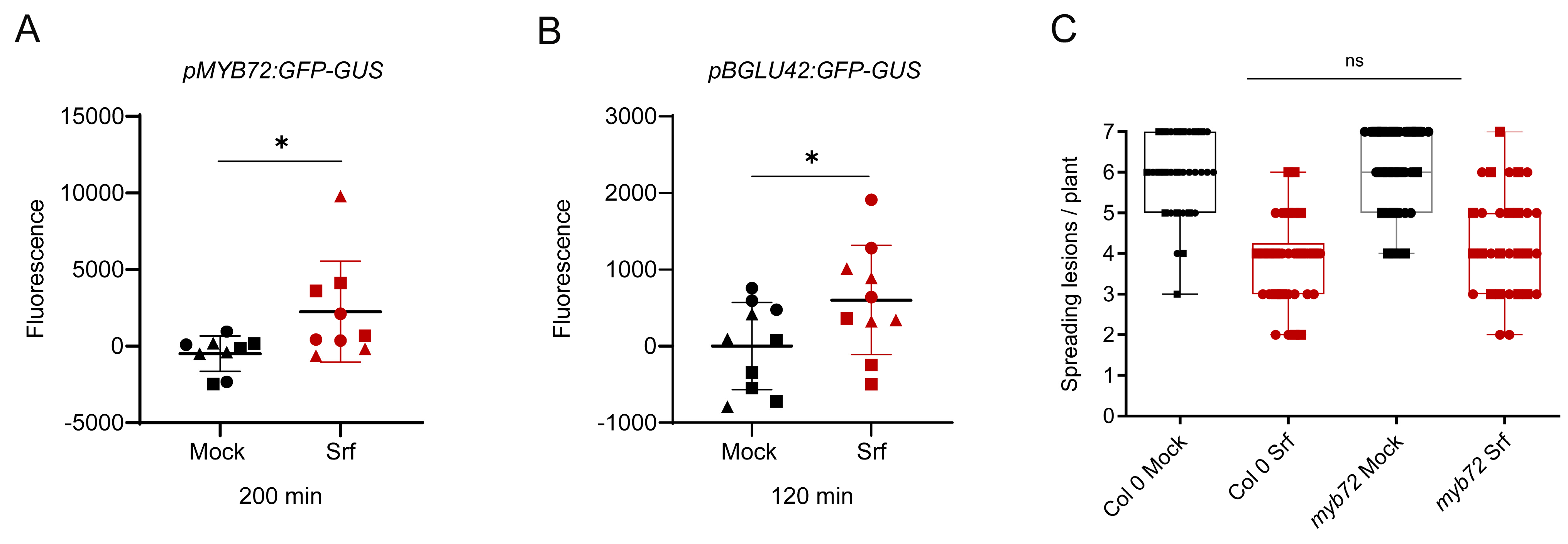 Biomolecules 15 01479 g006 Biomolecules 15 01479 g006