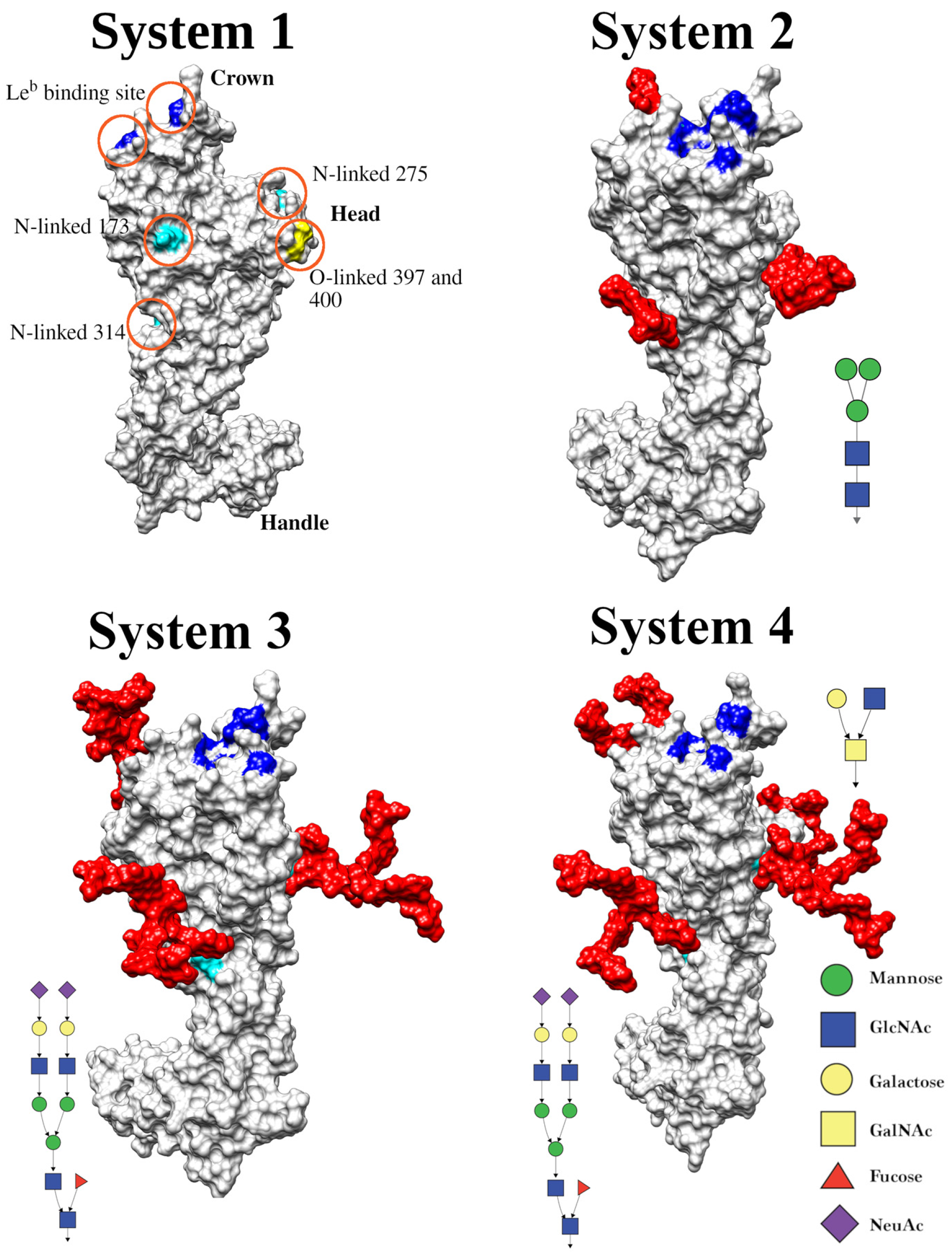 Biomolecules 15 01480 g004 Biomolecules 15 01480 g004