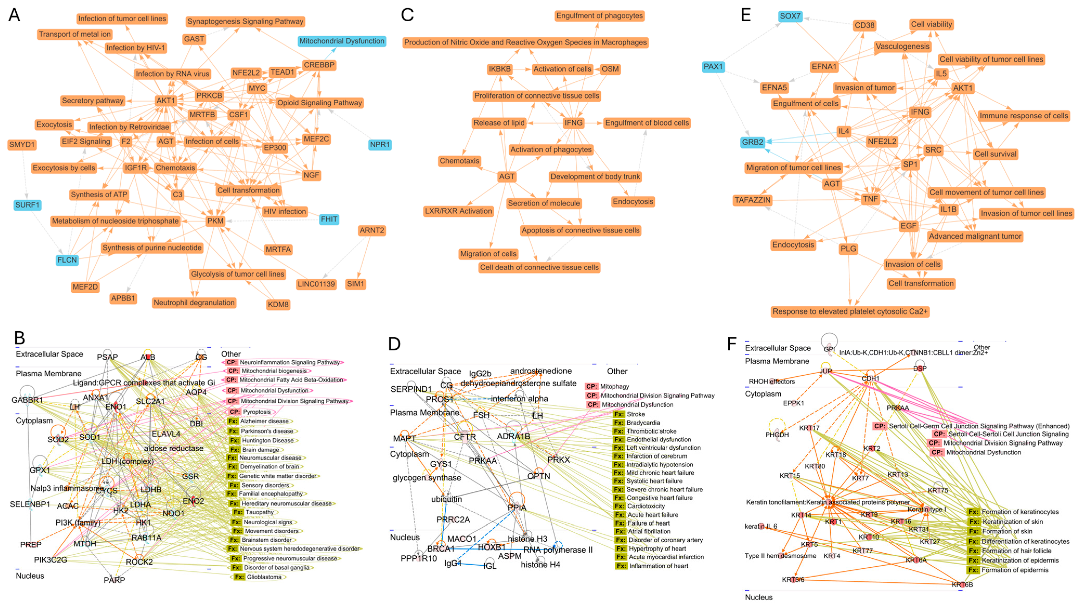 Biomolecules 15 01487 g006