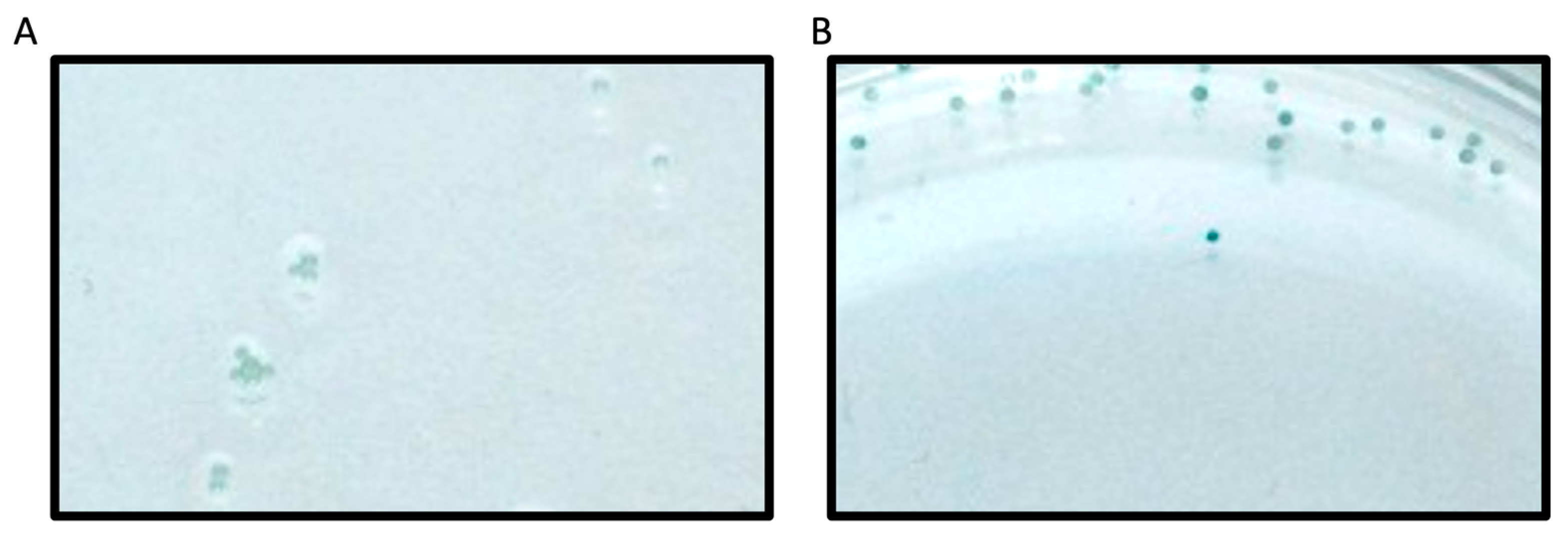 Biomolecules 15 01494 g003