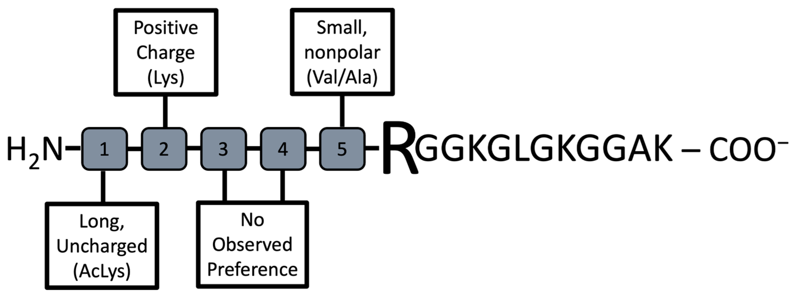 Biomolecules 15 01494 g006