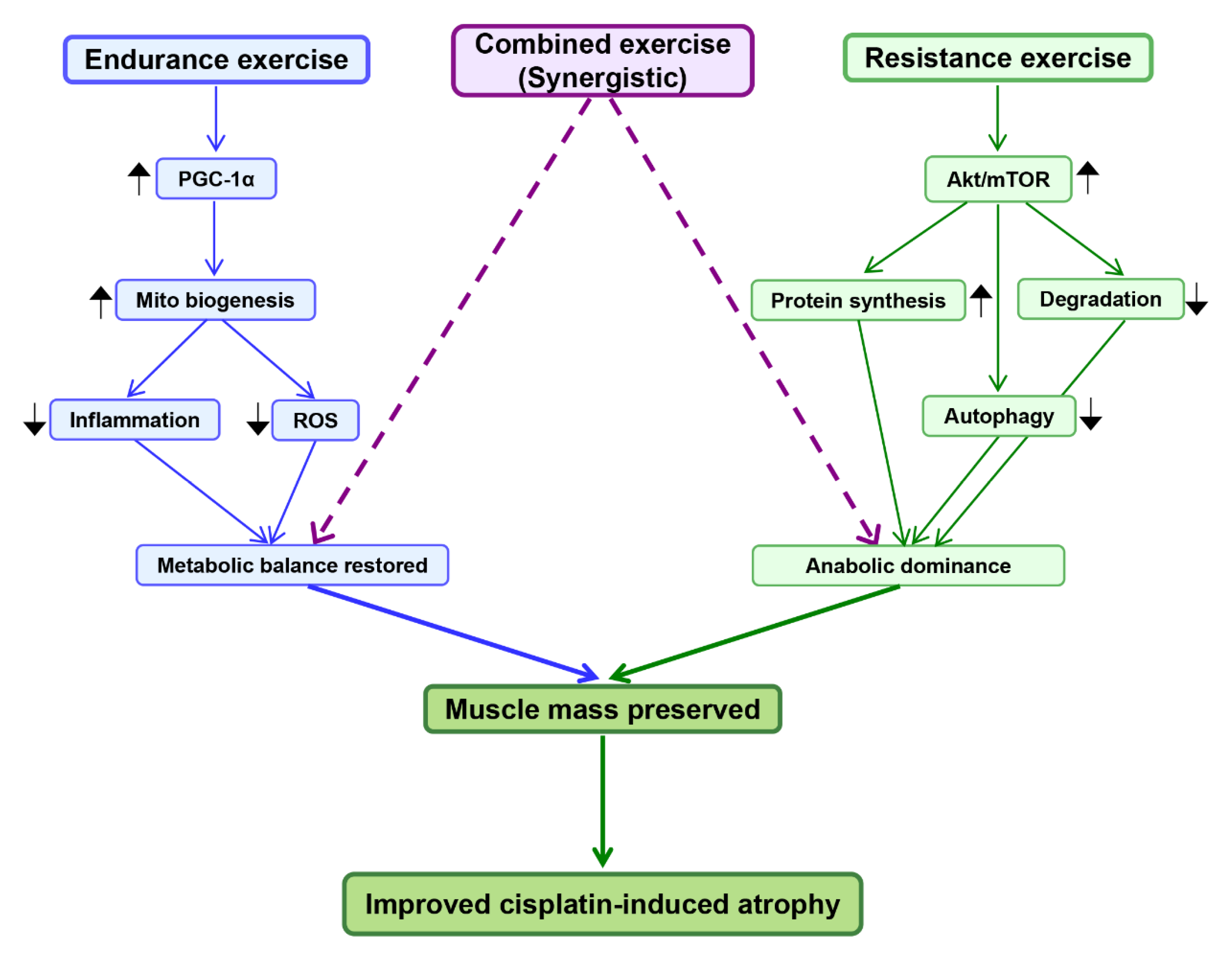 Biomolecules 15 01495 g003 Biomolecules 15 01495 g003