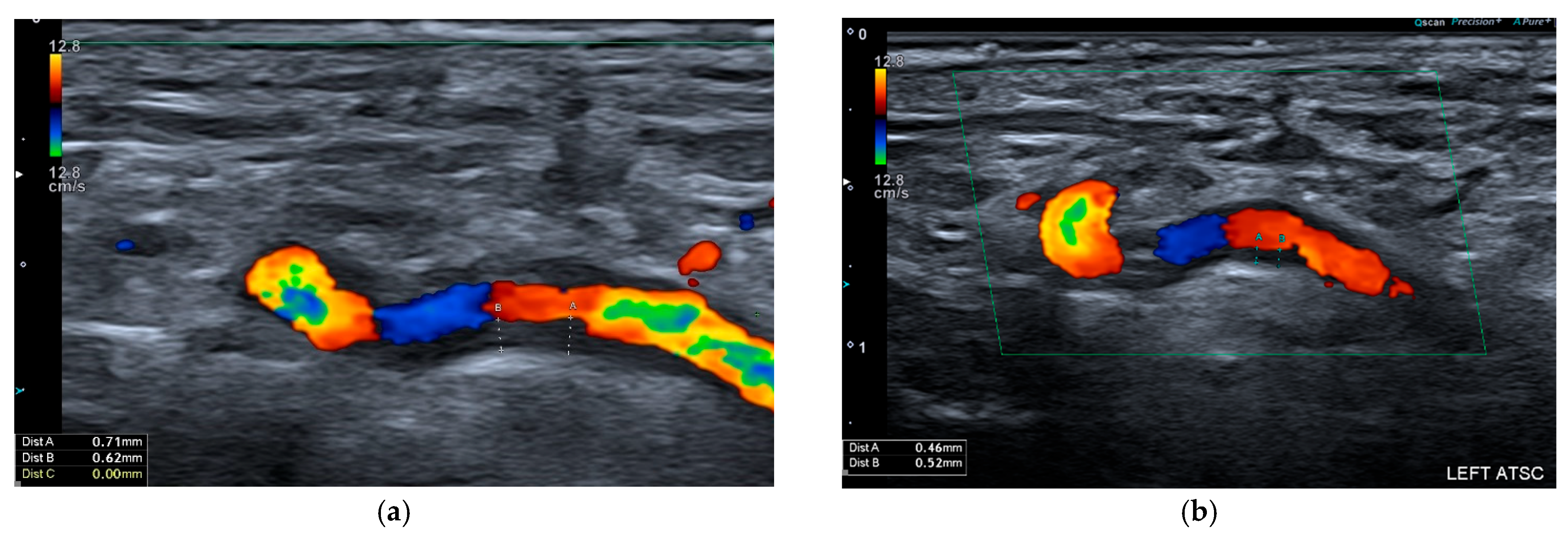 Biomolecules 15 01505 g001 Biomolecules 15 01505 g001