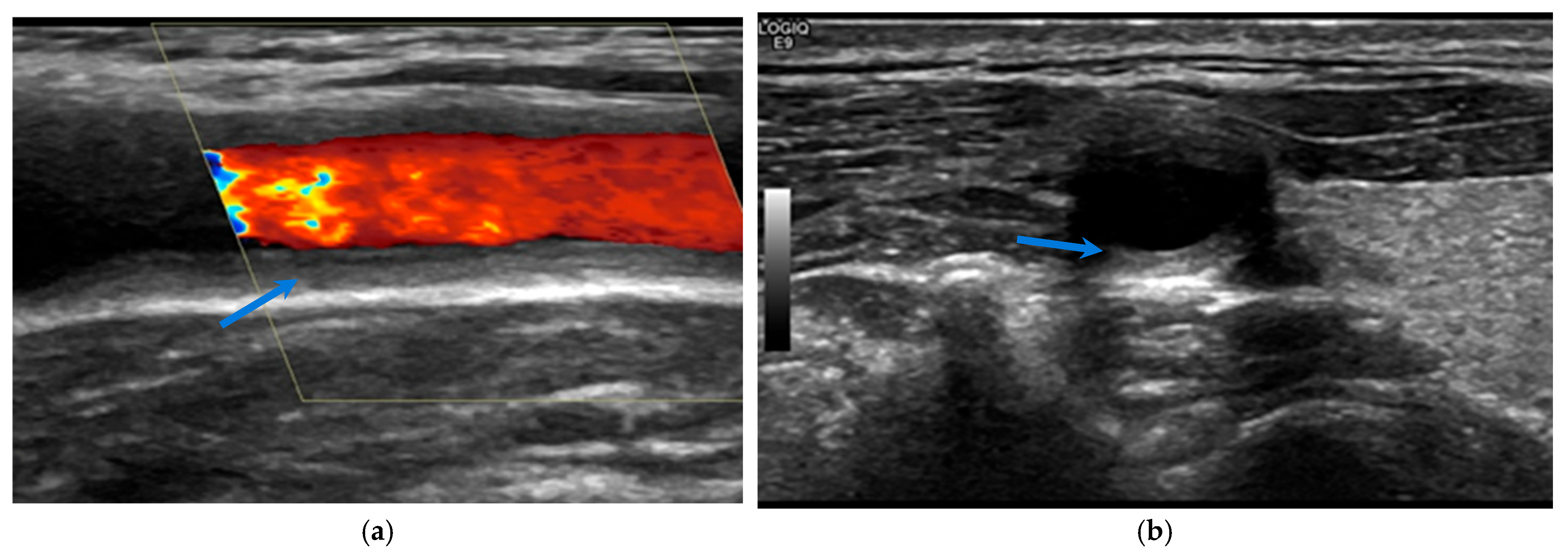 Biomolecules 15 01505 g002 Biomolecules 15 01505 g002