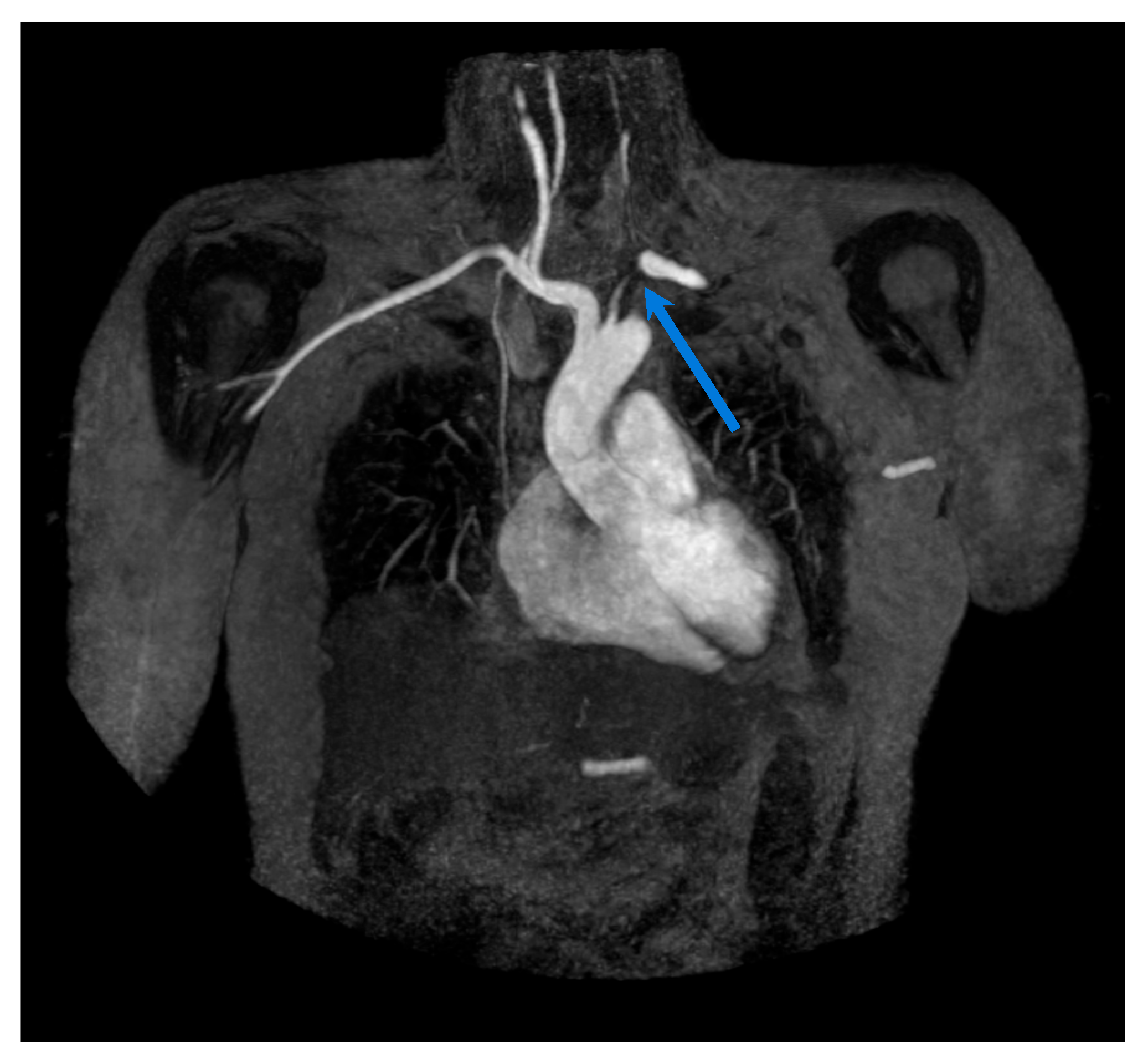 Biomolecules 15 01505 g003 Biomolecules 15 01505 g003