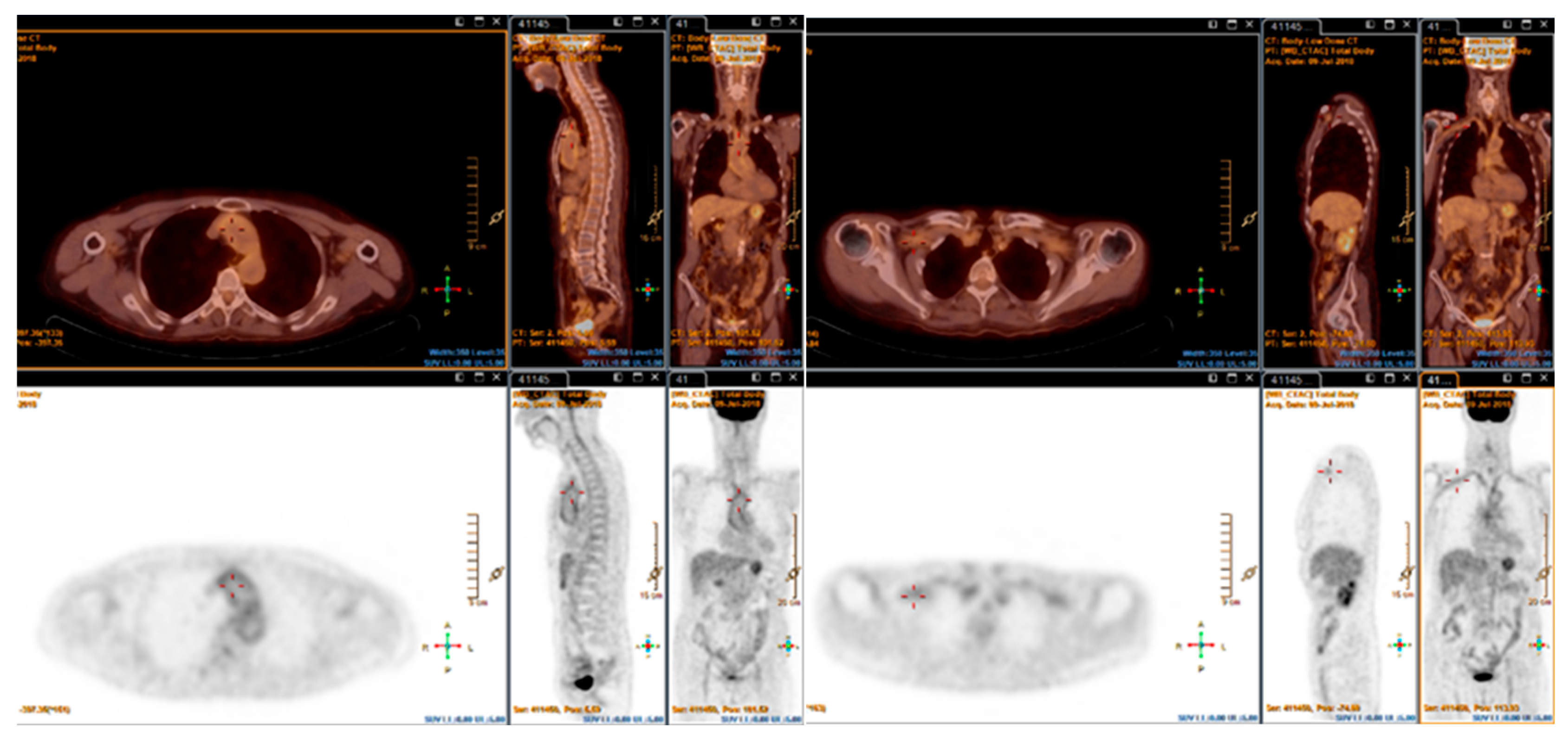 Biomolecules 15 01505 g004 Biomolecules 15 01505 g004
