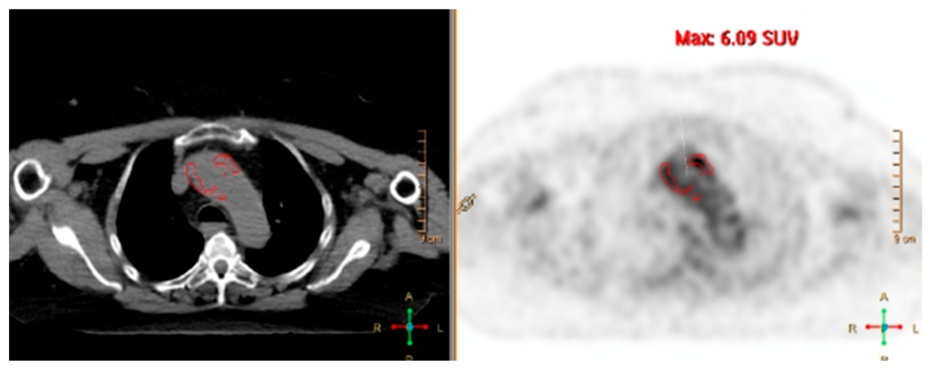 Biomolecules 15 01505 g005 Biomolecules 15 01505 g005