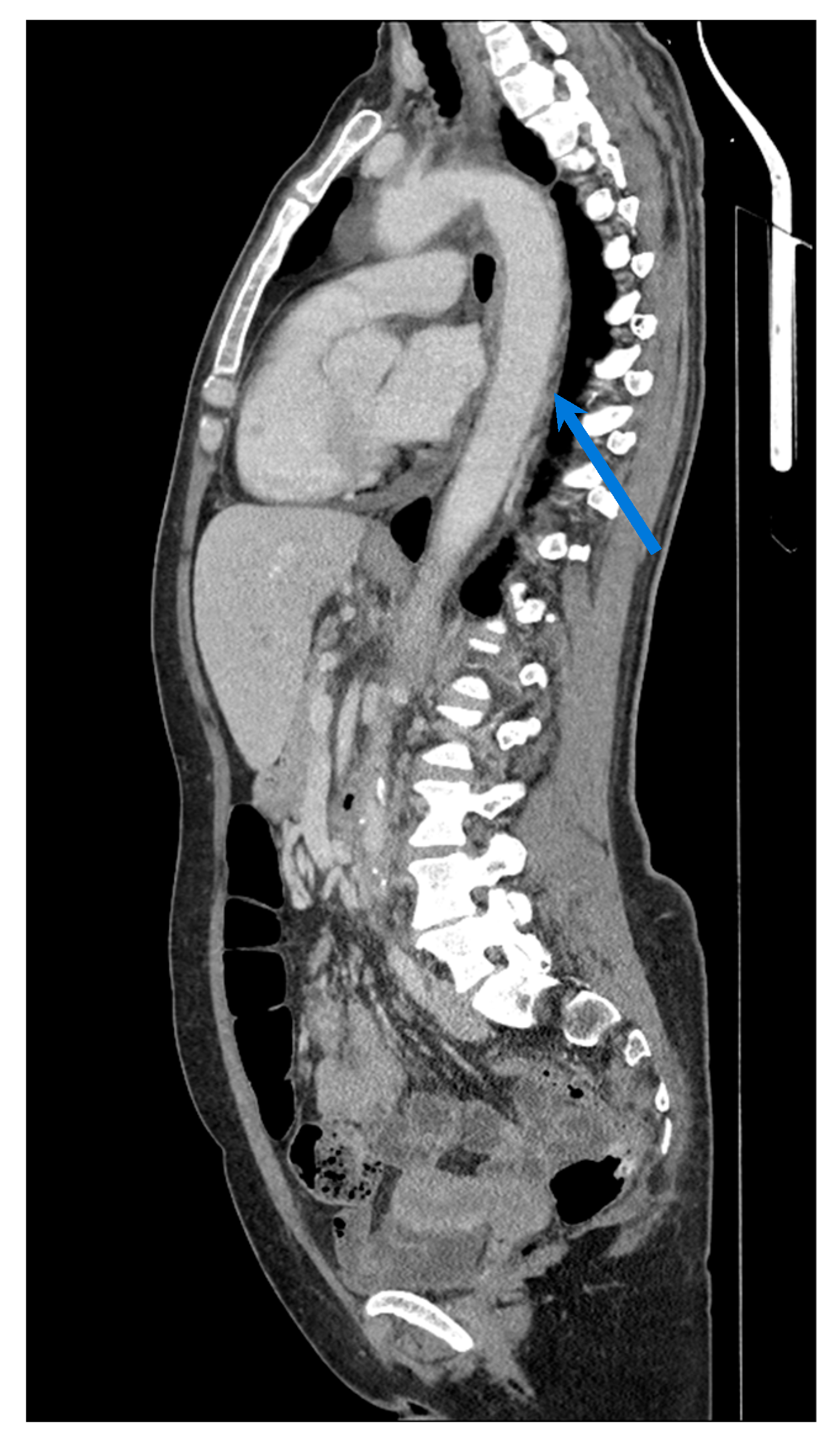 Biomolecules 15 01505 g006 Biomolecules 15 01505 g006