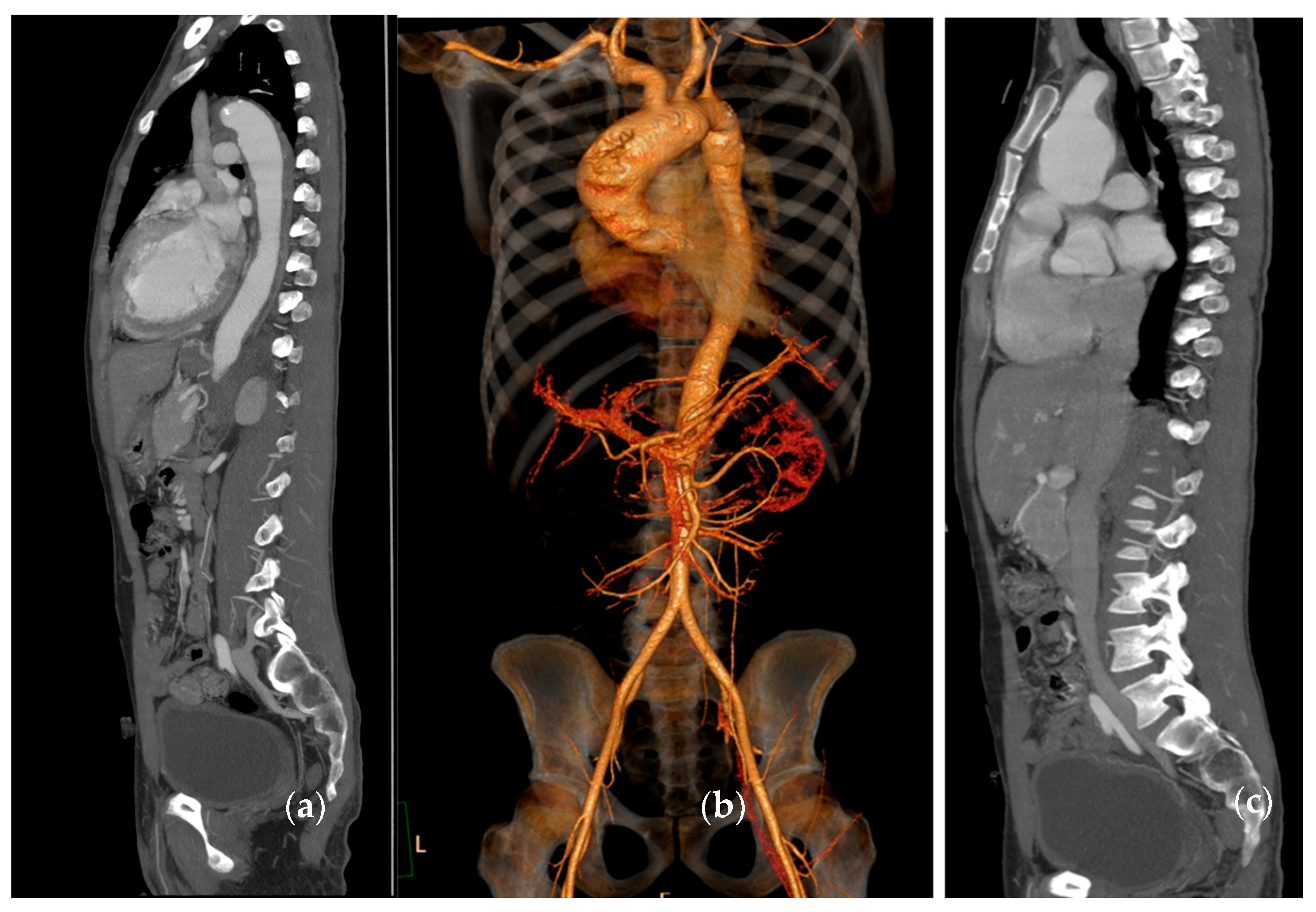 Biomolecules 15 01505 g007 Biomolecules 15 01505 g007