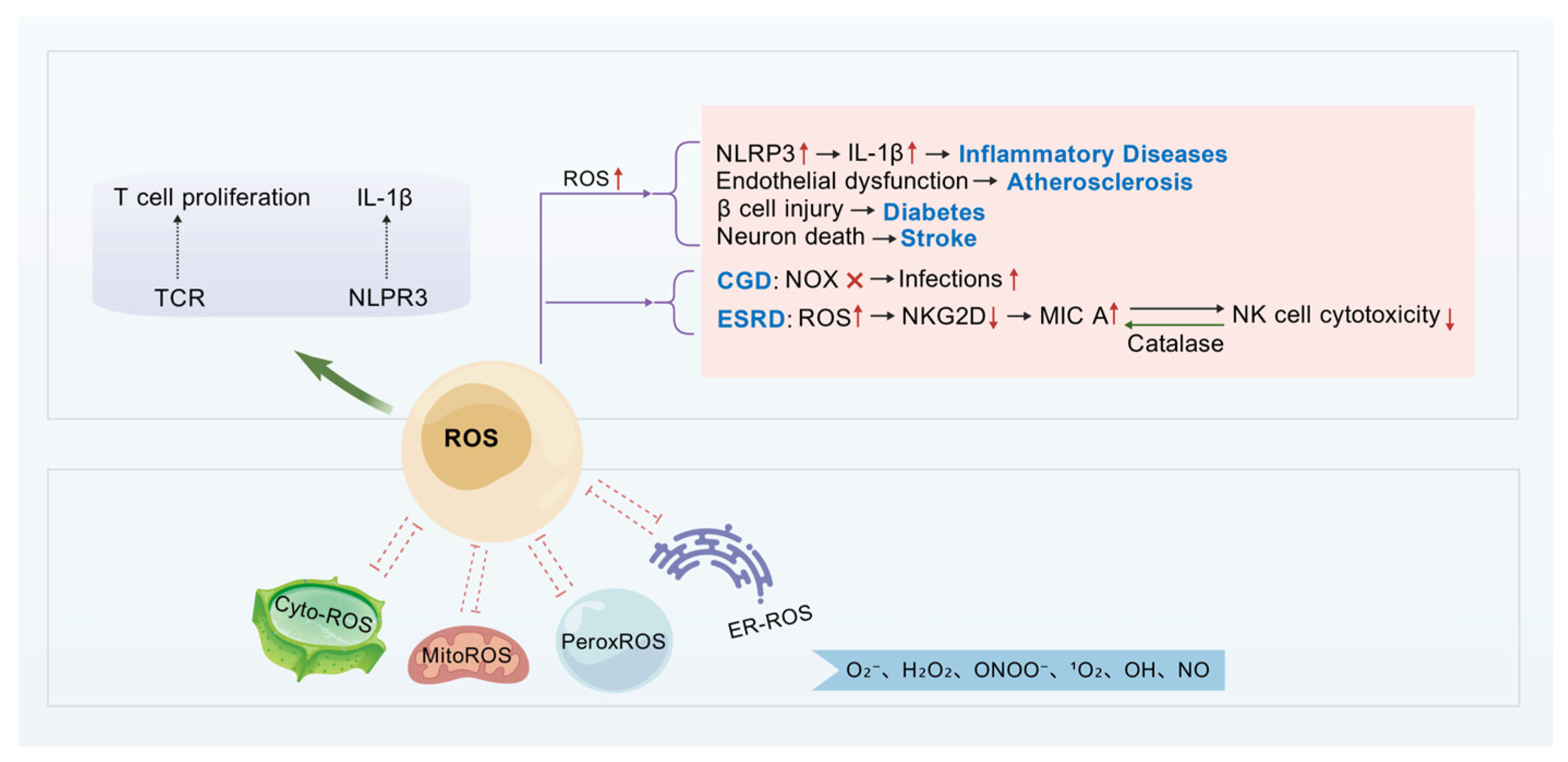 Biomolecules 15 01506 g002