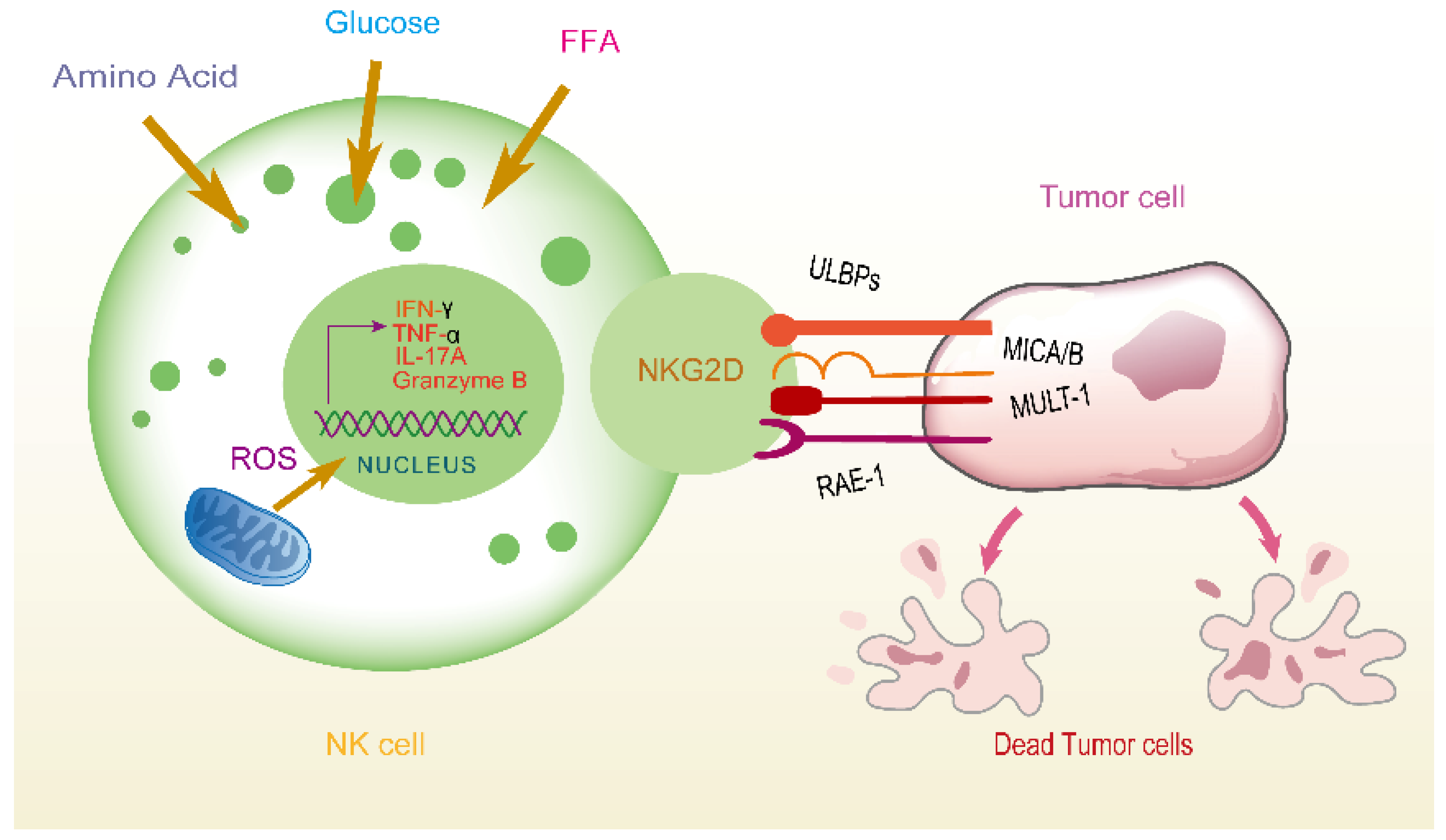 Biomolecules 15 01506 g003