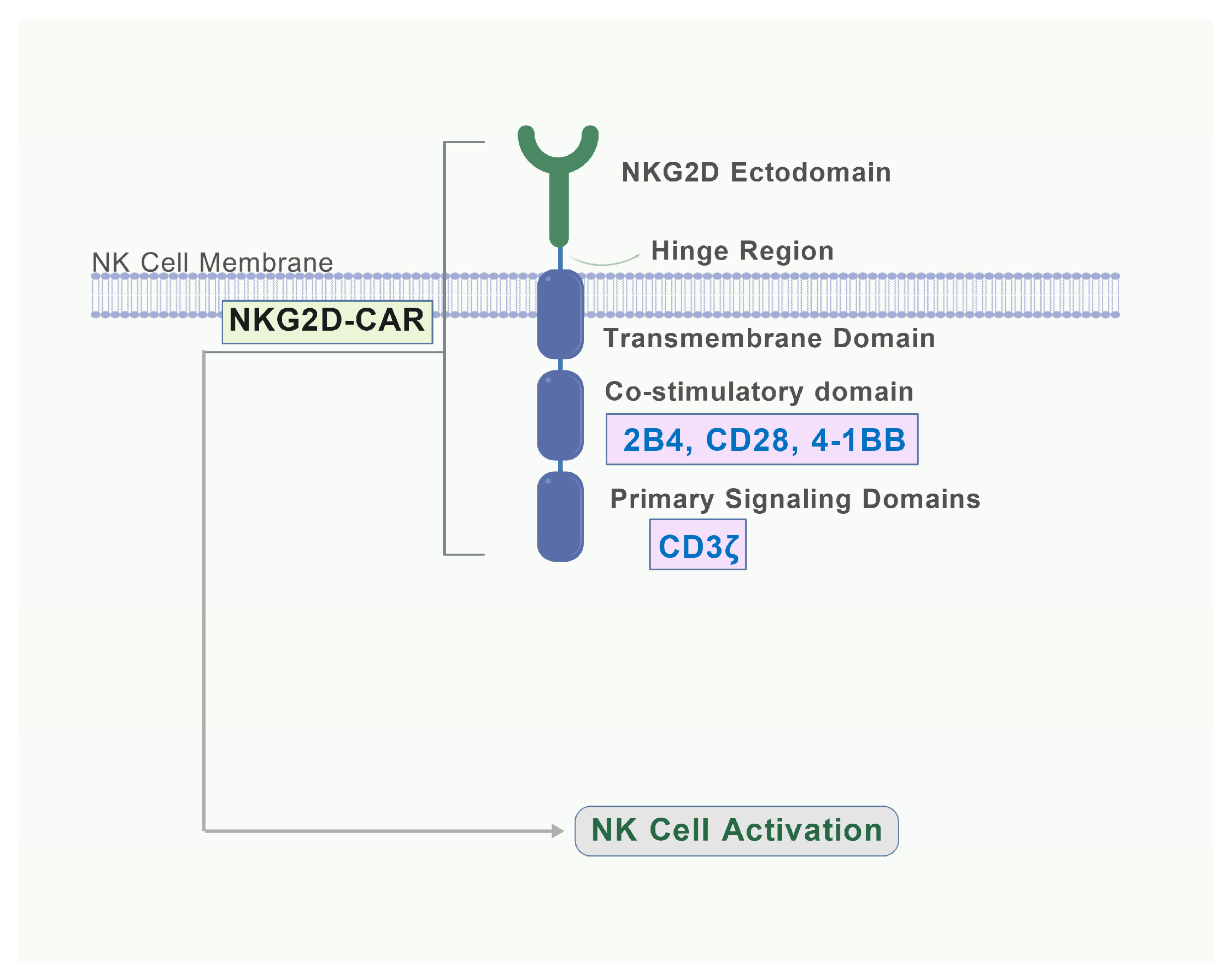 Biomolecules 15 01506 g005