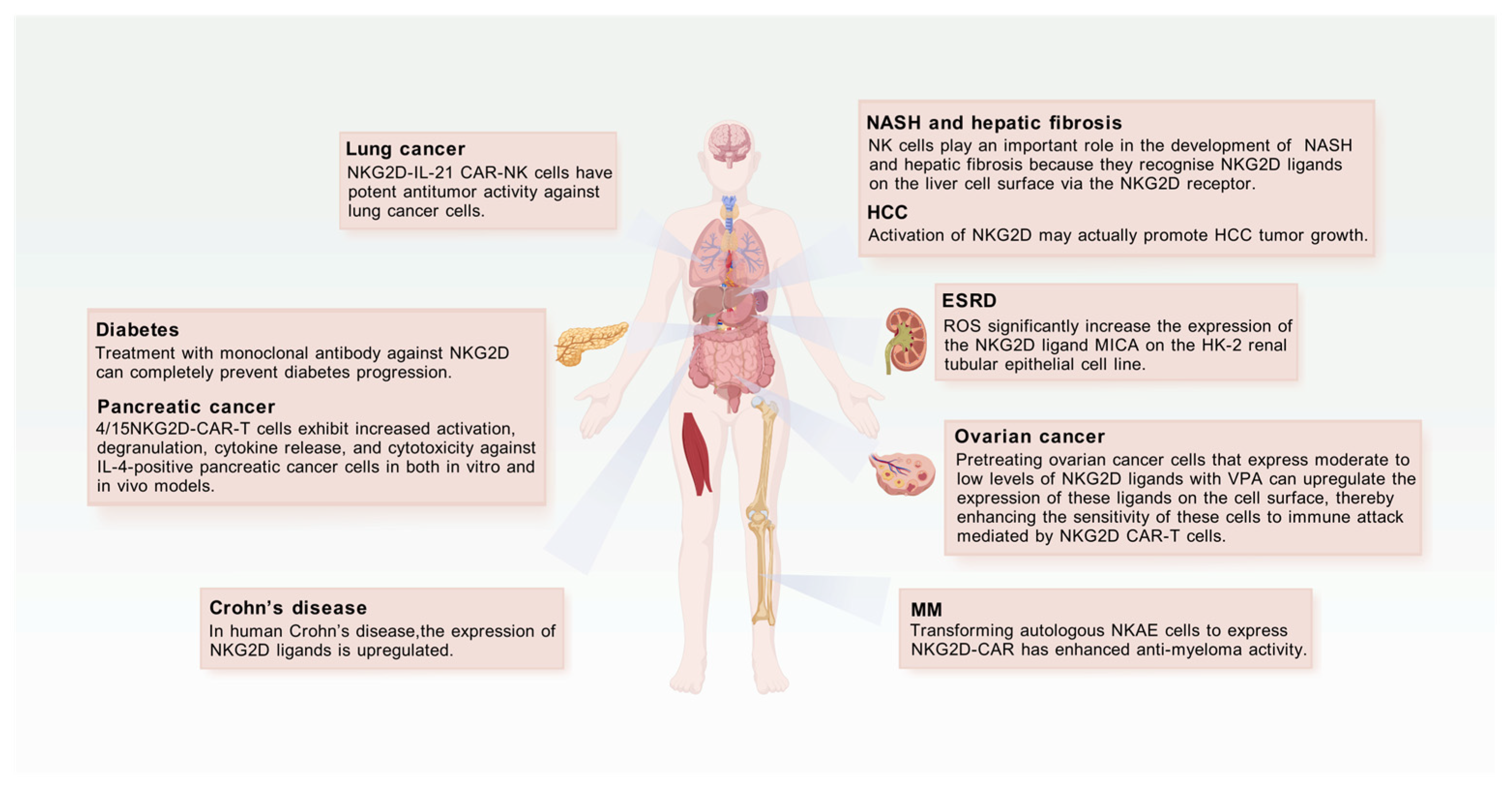 Biomolecules 15 01506 g006