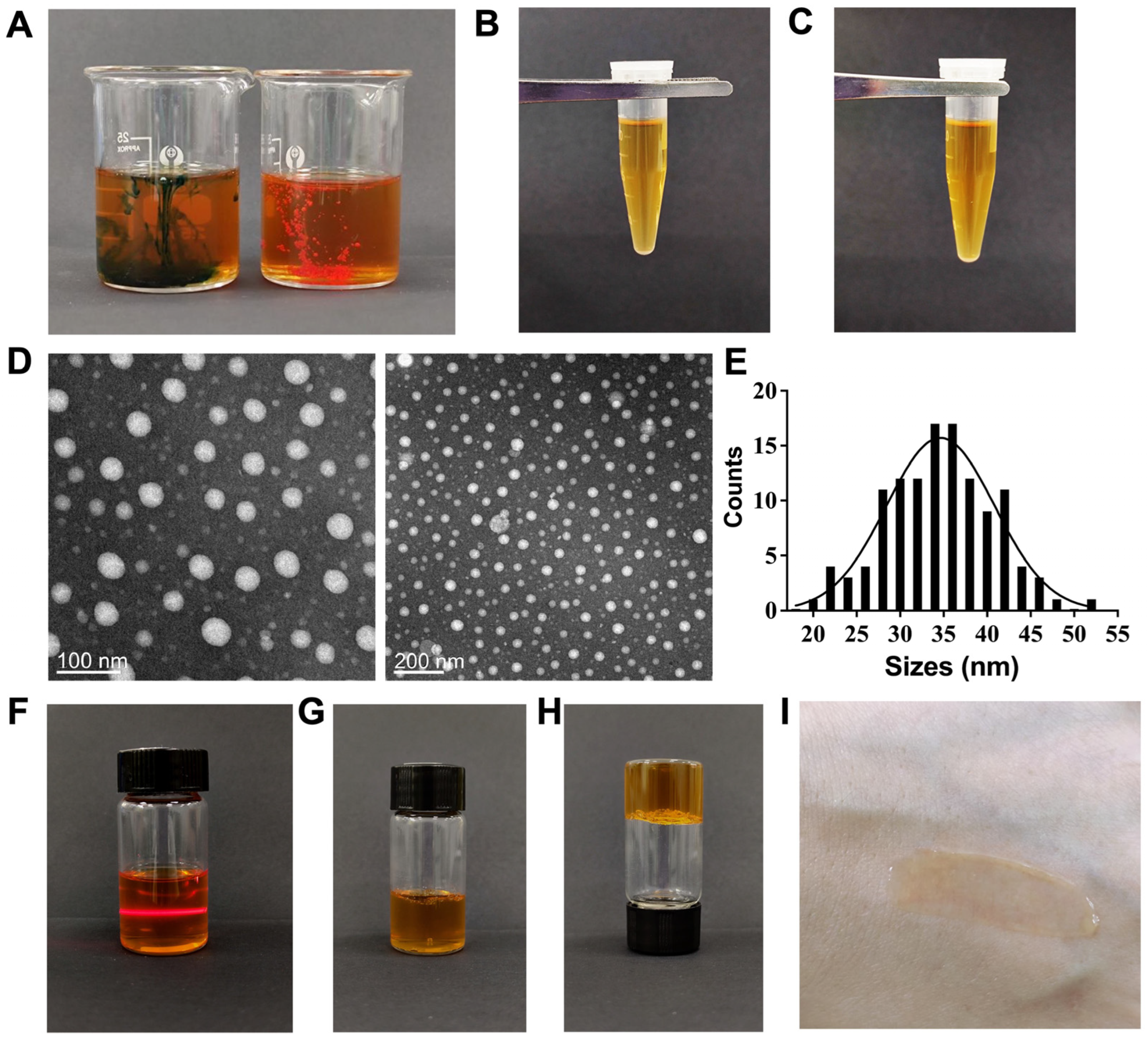 Biomolecules 15 01515 g004 Biomolecules 15 01515 g004