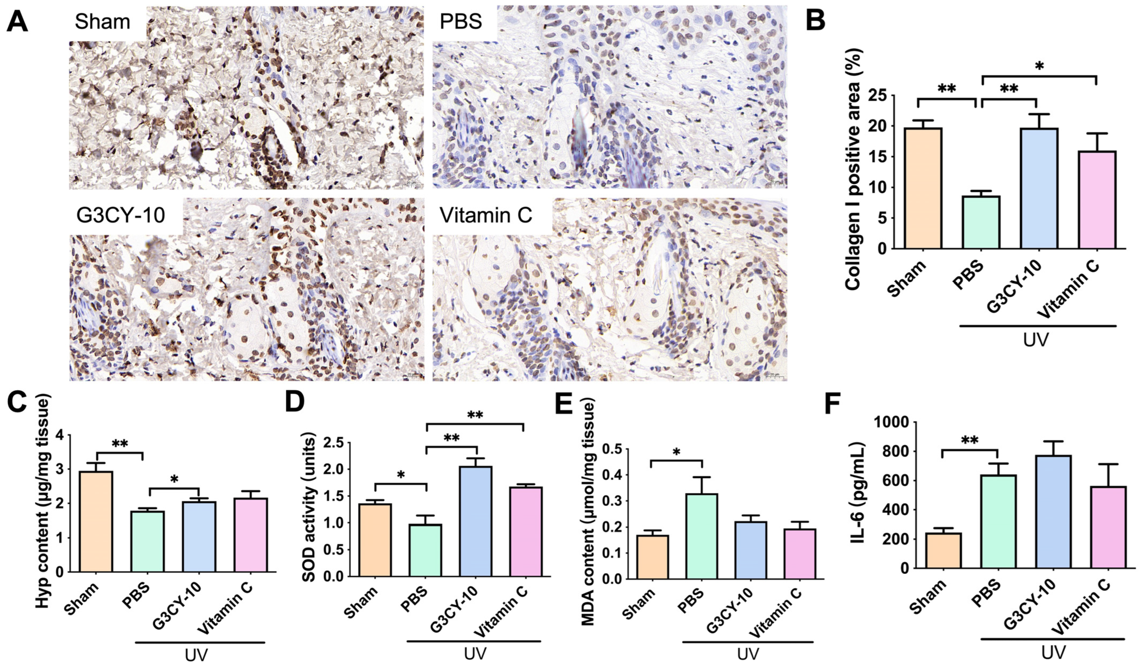 Biomolecules 15 01515 g007 Biomolecules 15 01515 g007