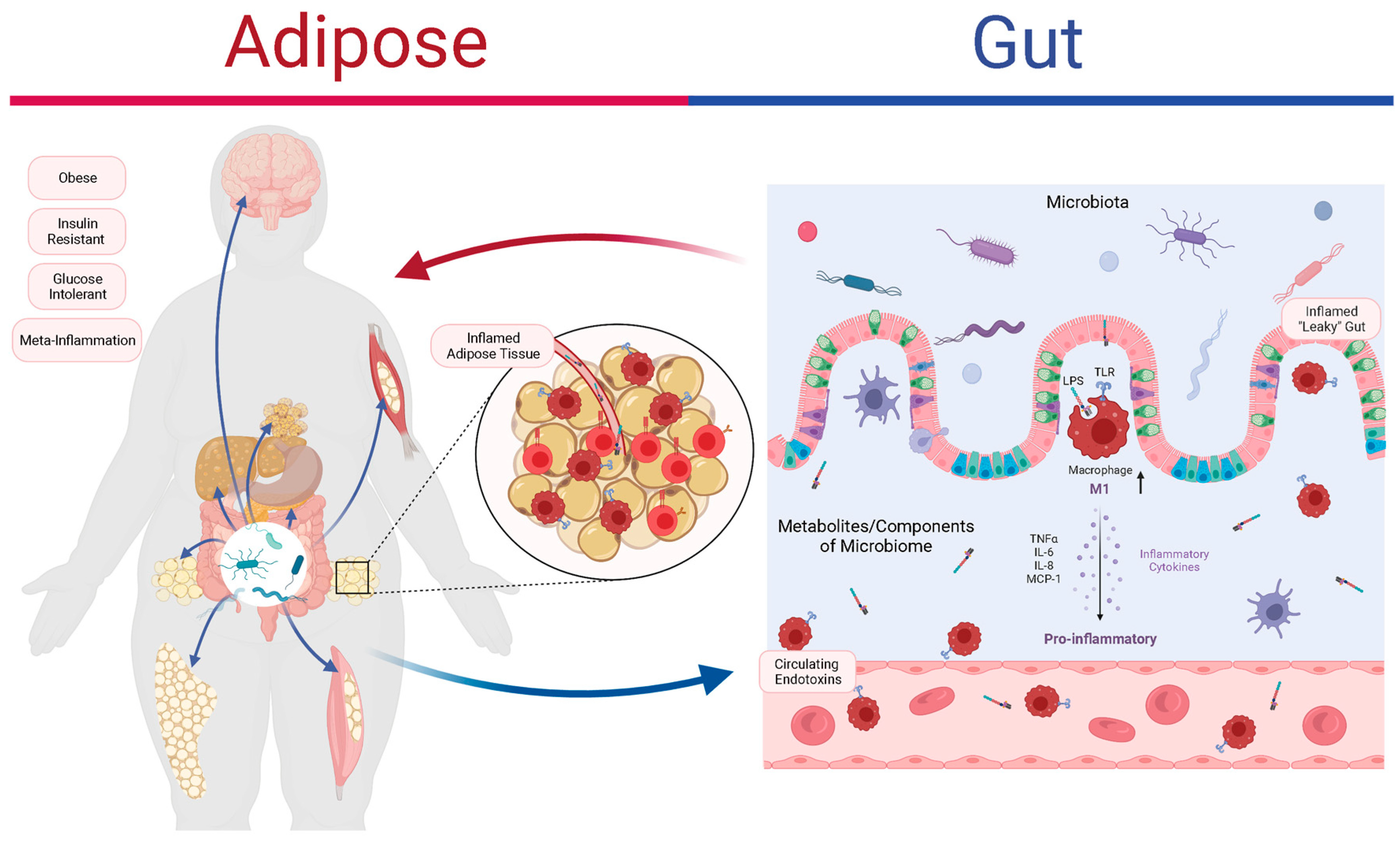 Biomolecules 15 01516 g001 Biomolecules 15 01516 g001