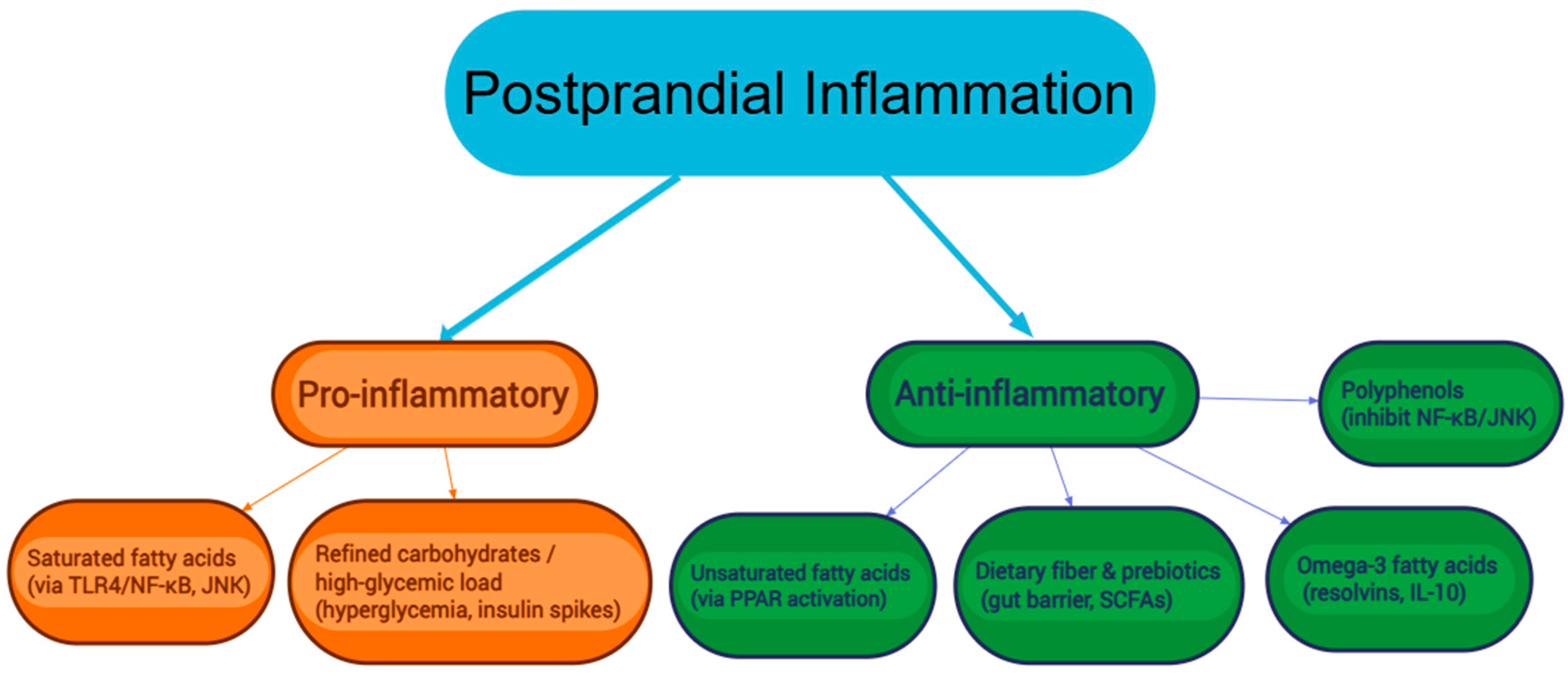 Biomolecules 15 01516 g002 Biomolecules 15 01516 g002