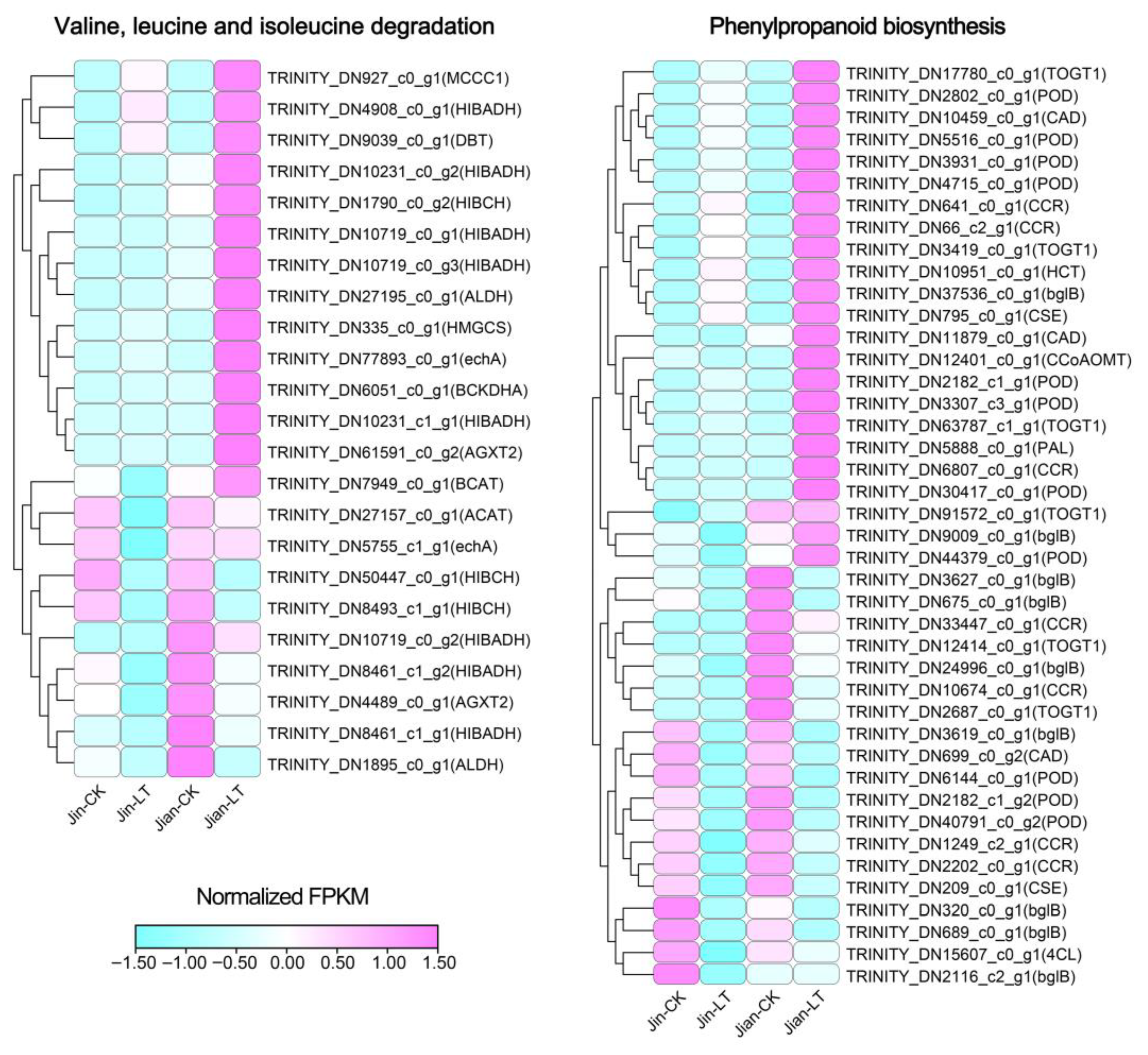 Biomolecules 15 01520 g006 Biomolecules 15 01520 g006