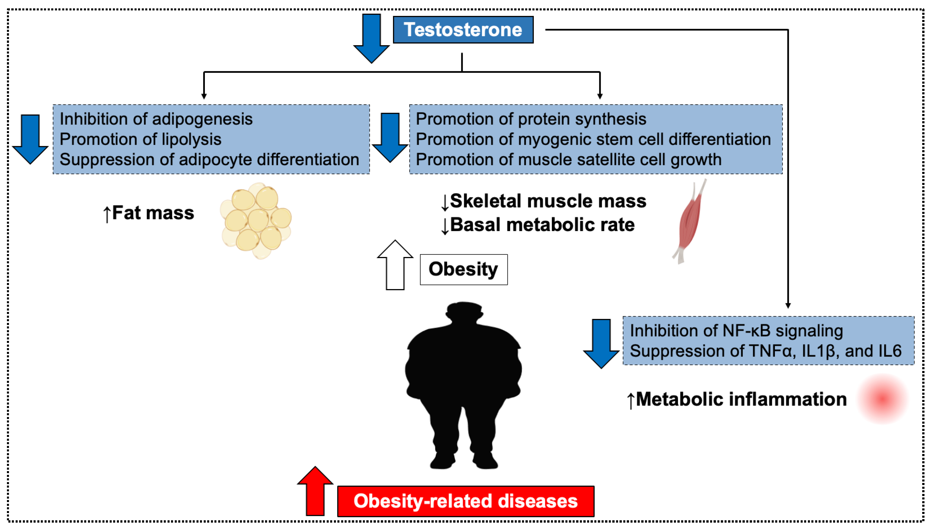 Biomolecules 15 01521 g001 Biomolecules 15 01521 g001