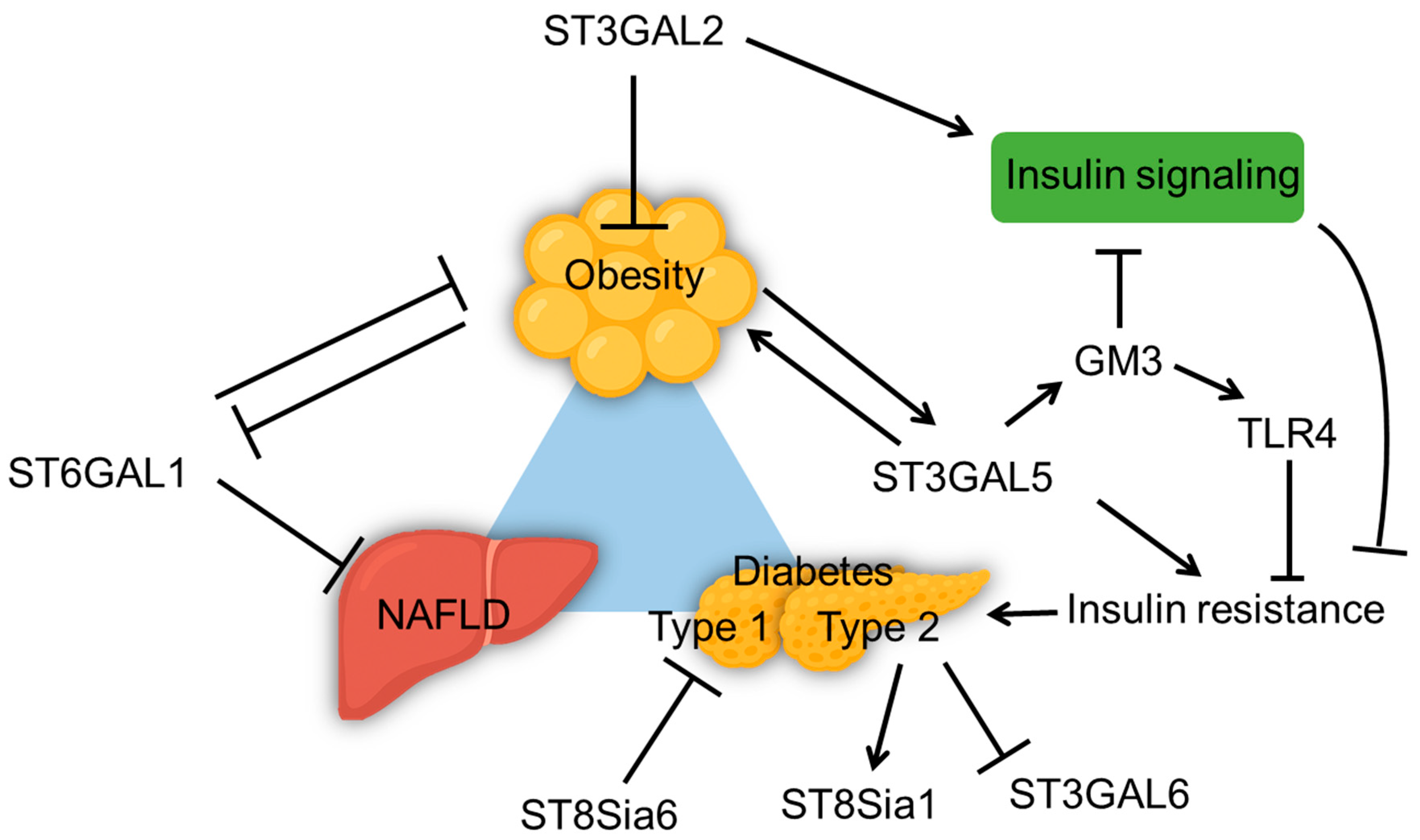 Biomolecules 15 01522 g003