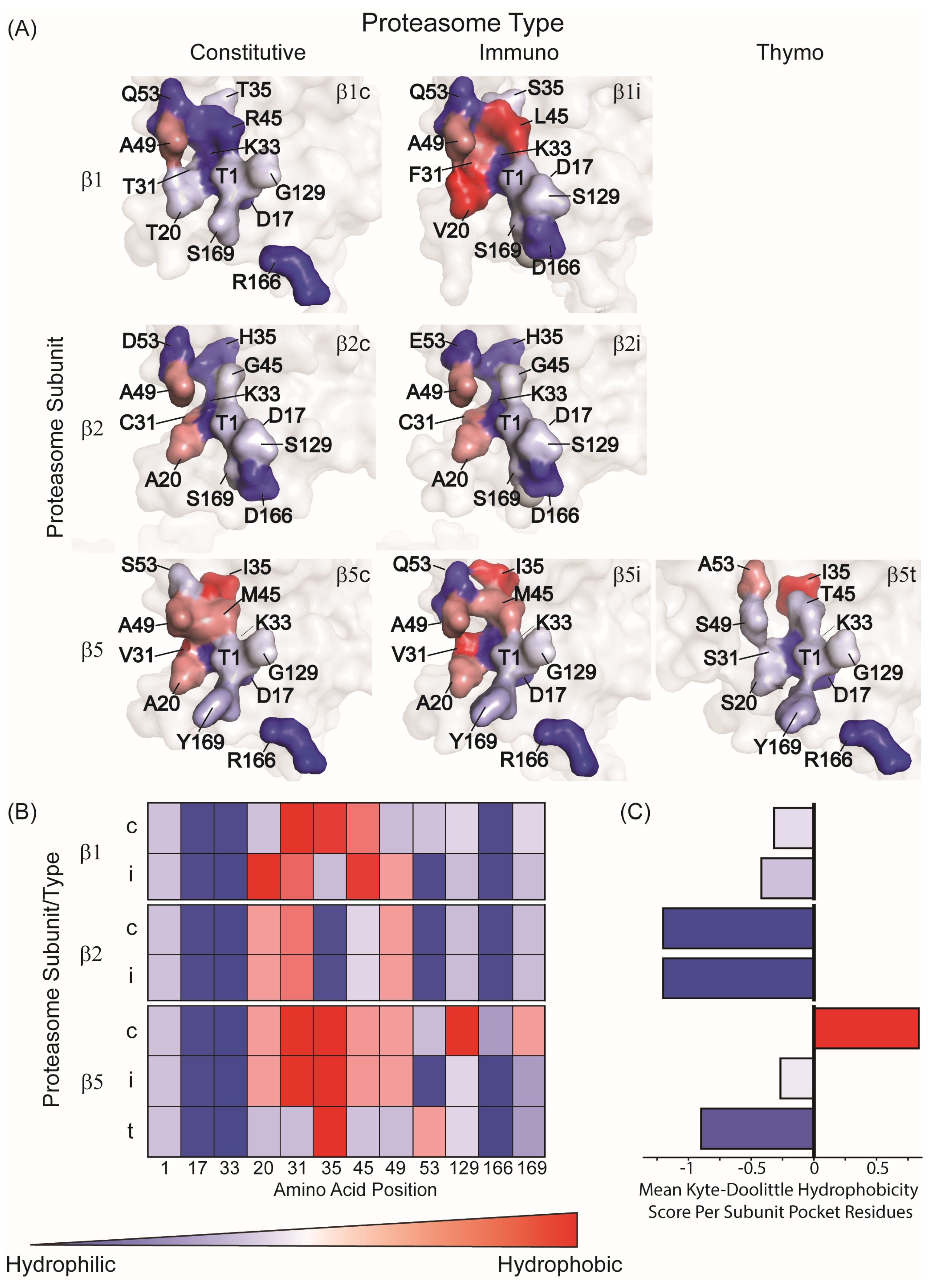 Biomolecules 15 01524 g002 Biomolecules 15 01524 g002