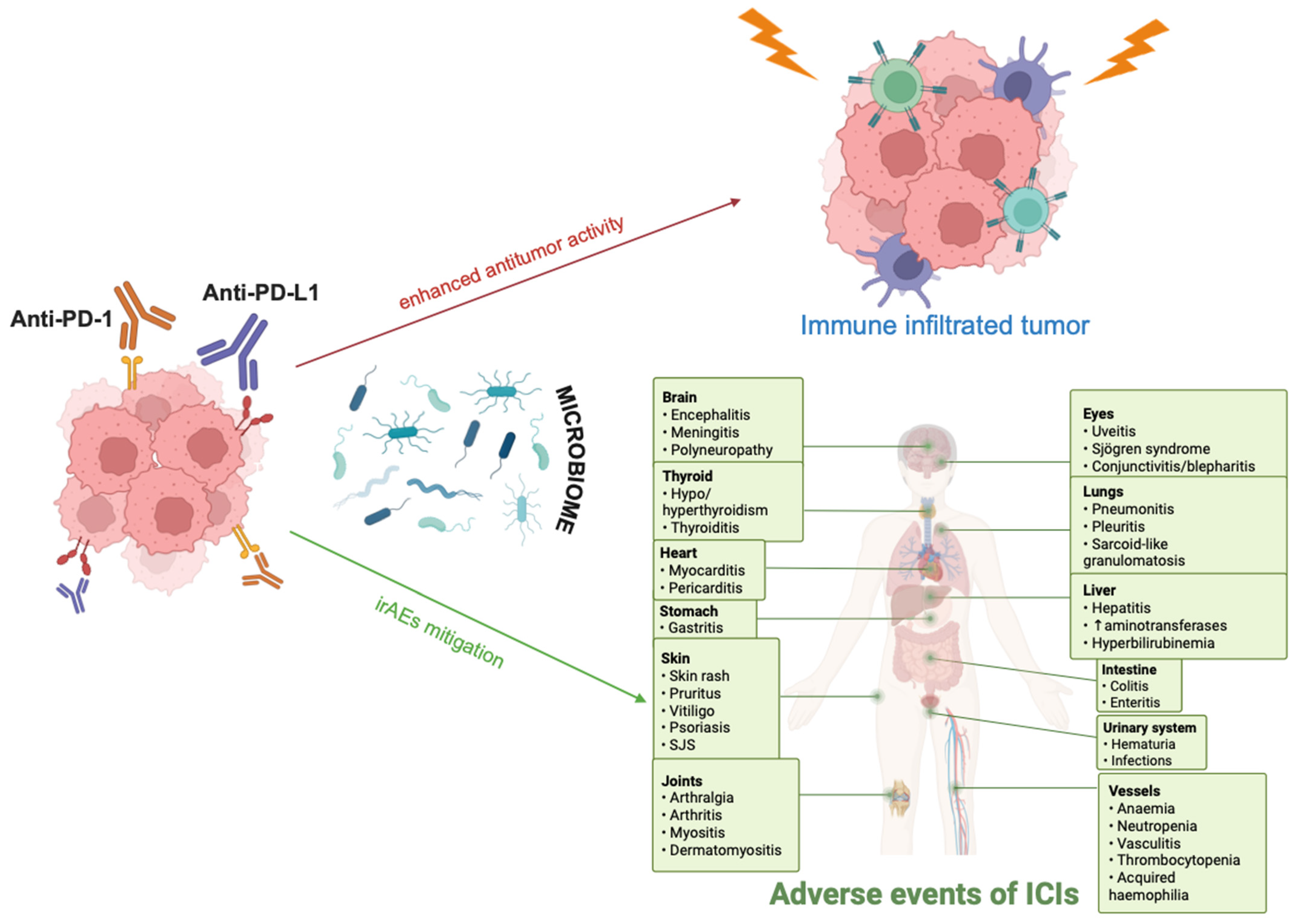 Biomolecules 15 01525 g002