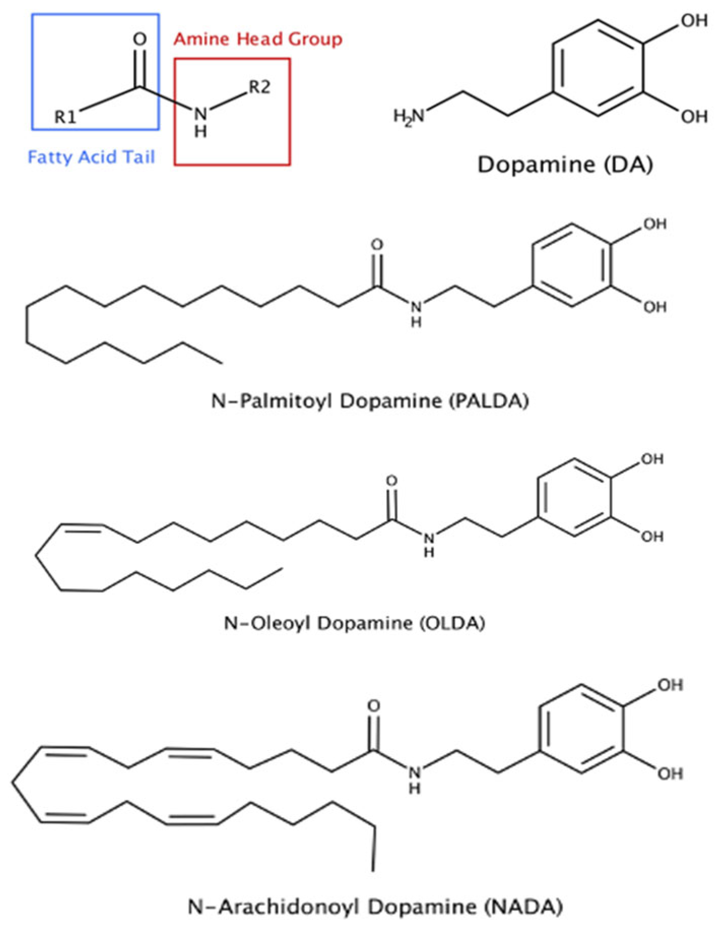 Biomolecules 15 01526 g001