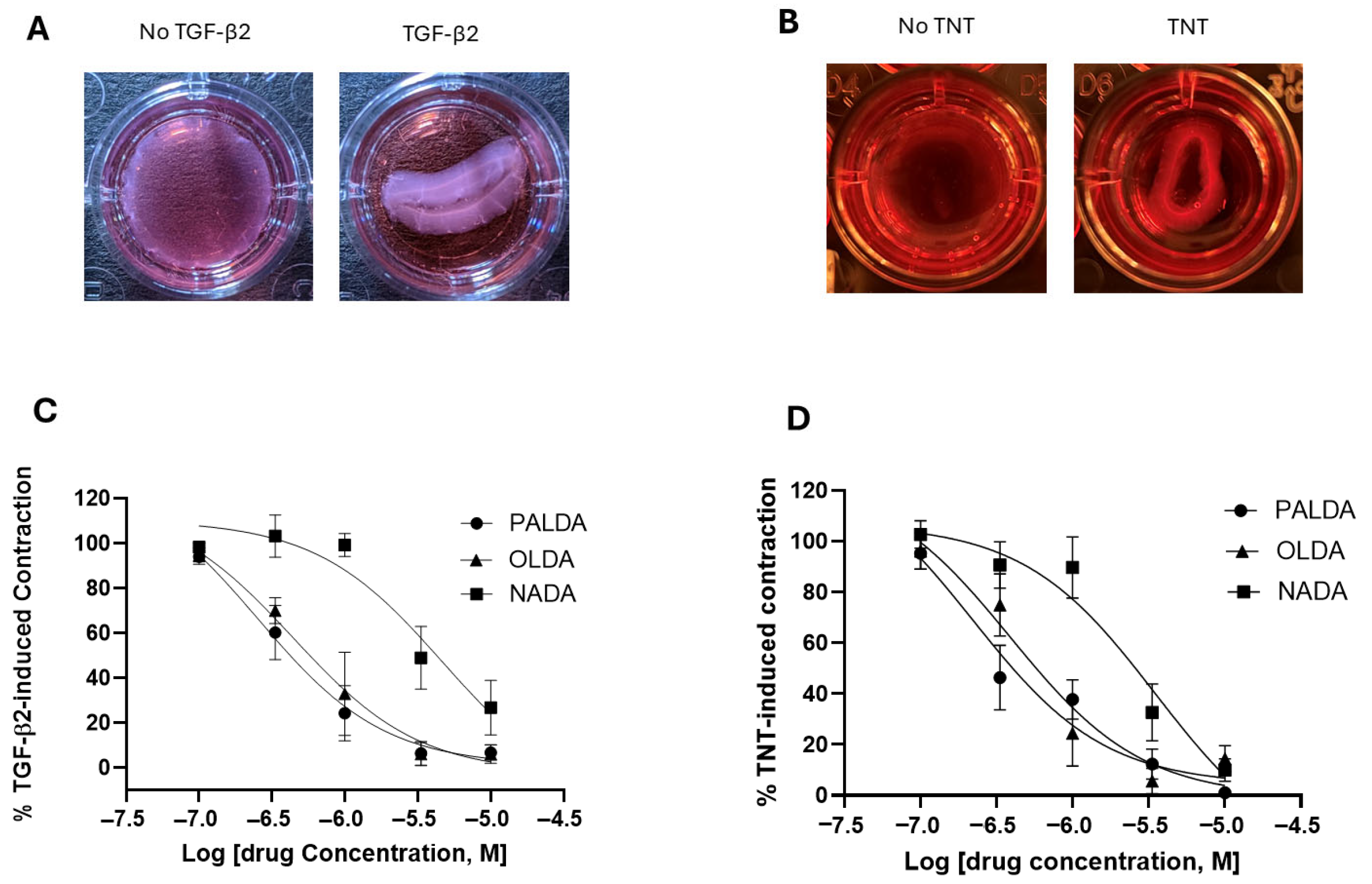 Biomolecules 15 01526 g002