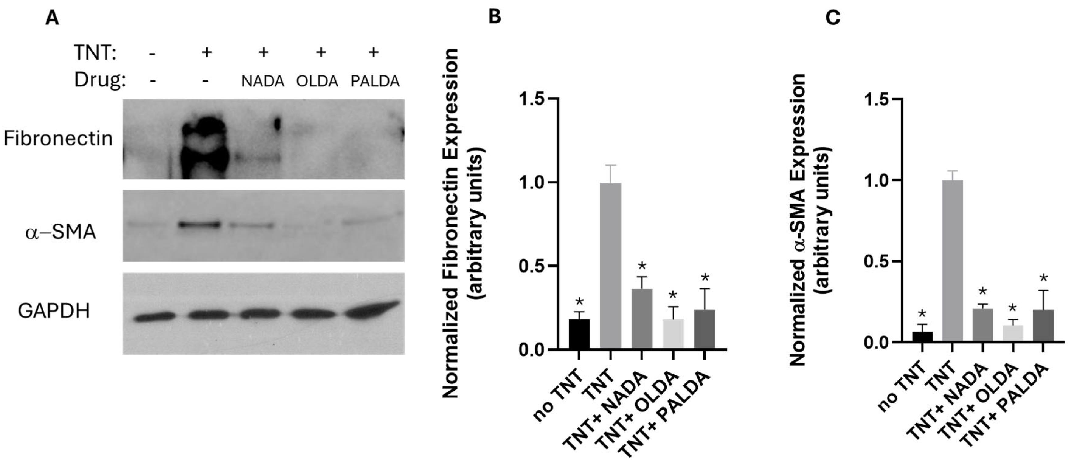Biomolecules 15 01526 g004