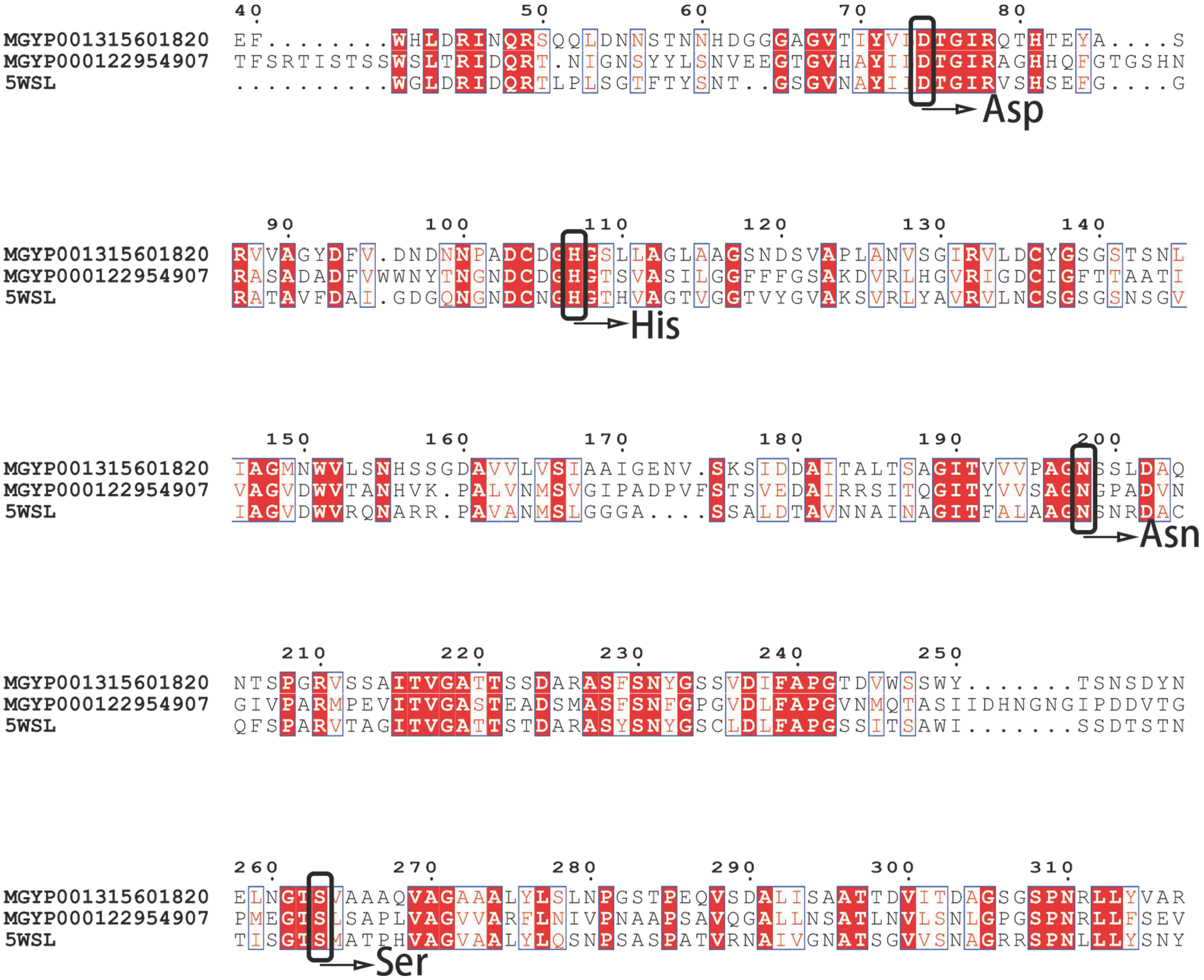 Biomolecules 15 01527 g003 Biomolecules 15 01527 g003