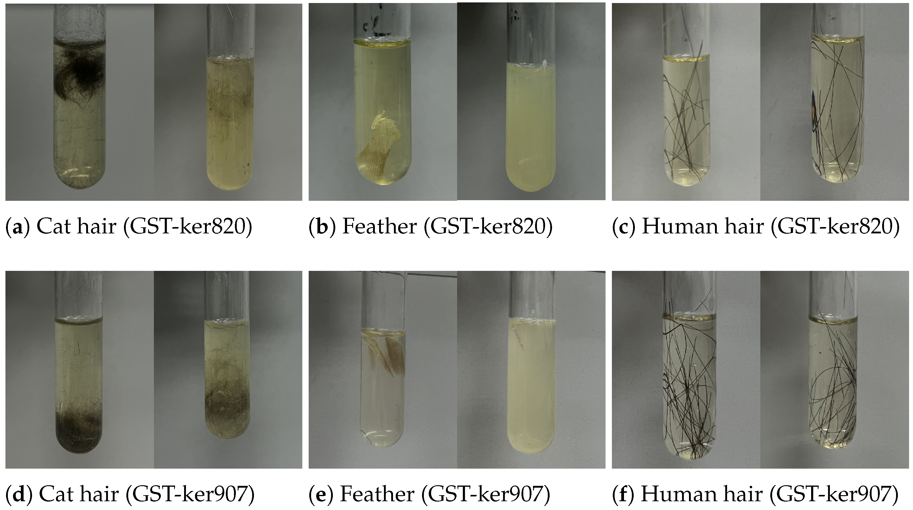 Biomolecules 15 01527 g006 Biomolecules 15 01527 g006