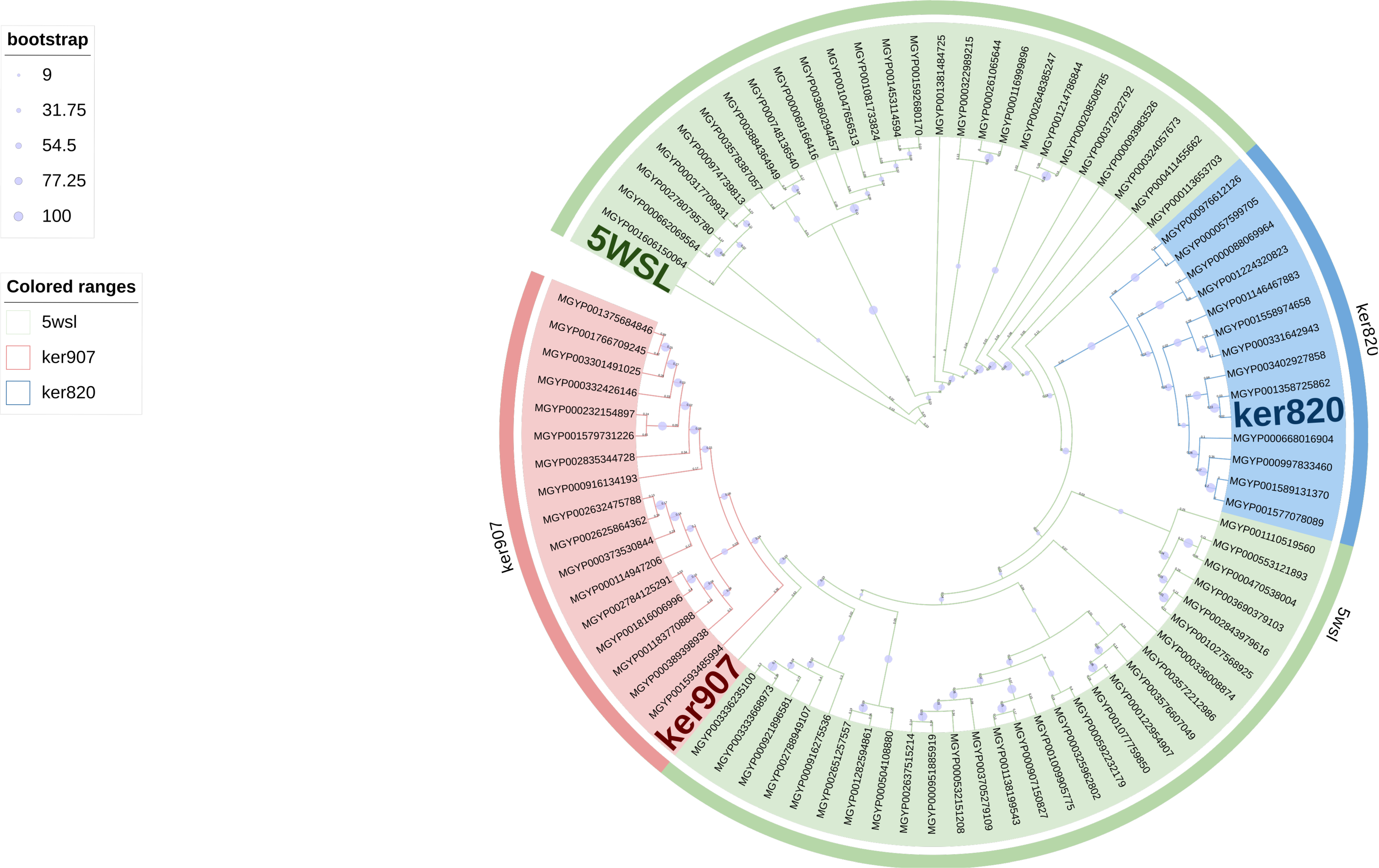 Biomolecules 15 01527 g0a1 Biomolecules 15 01527 g0a1
