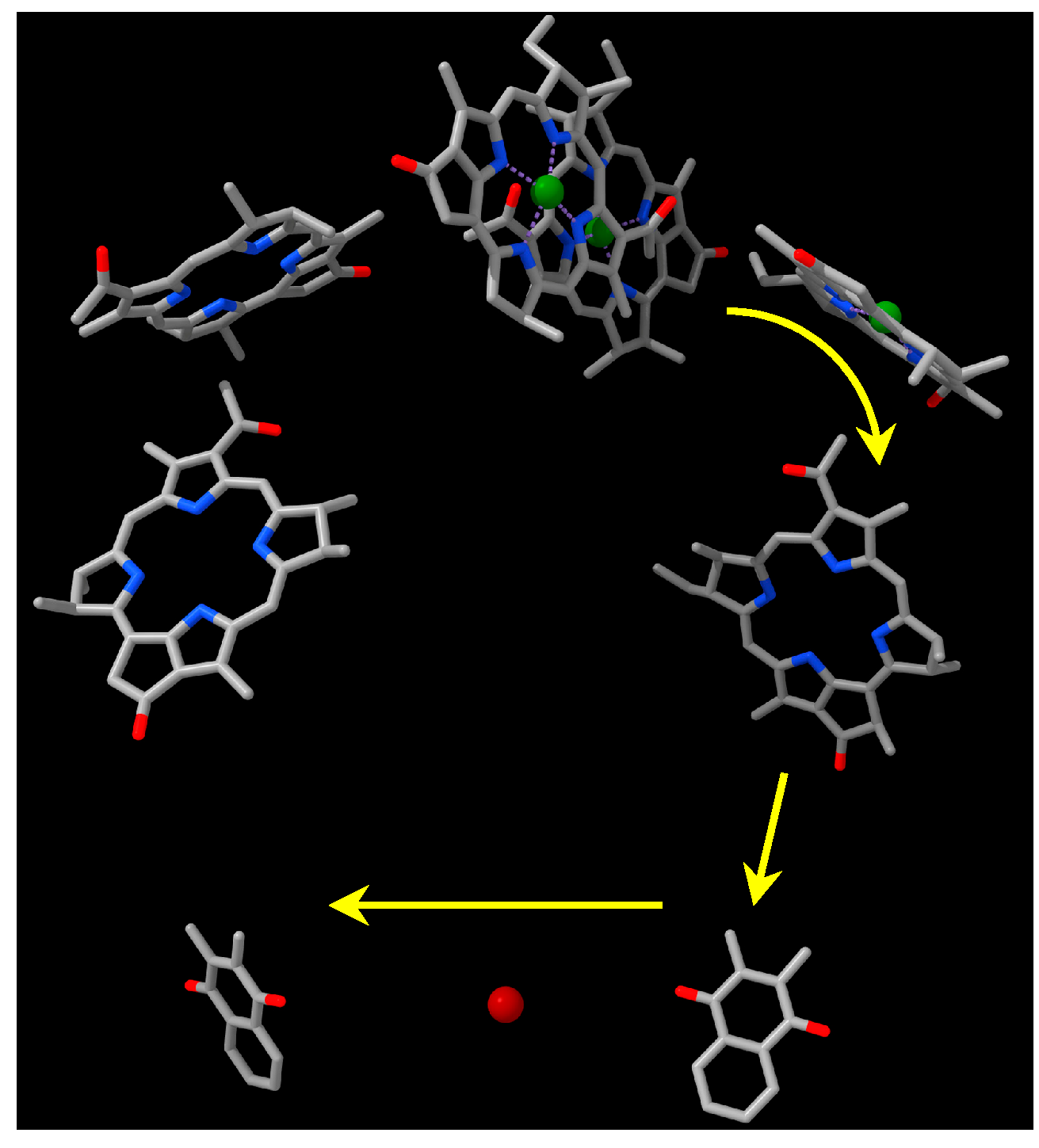 Biomolecules 15 01529 g001 Biomolecules 15 01529 g001