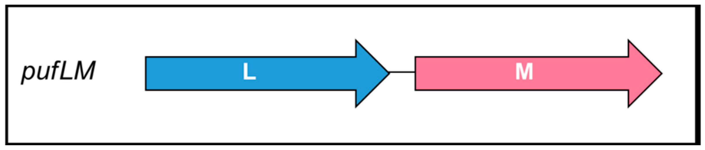 Biomolecules 15 01529 g002 Biomolecules 15 01529 g002
