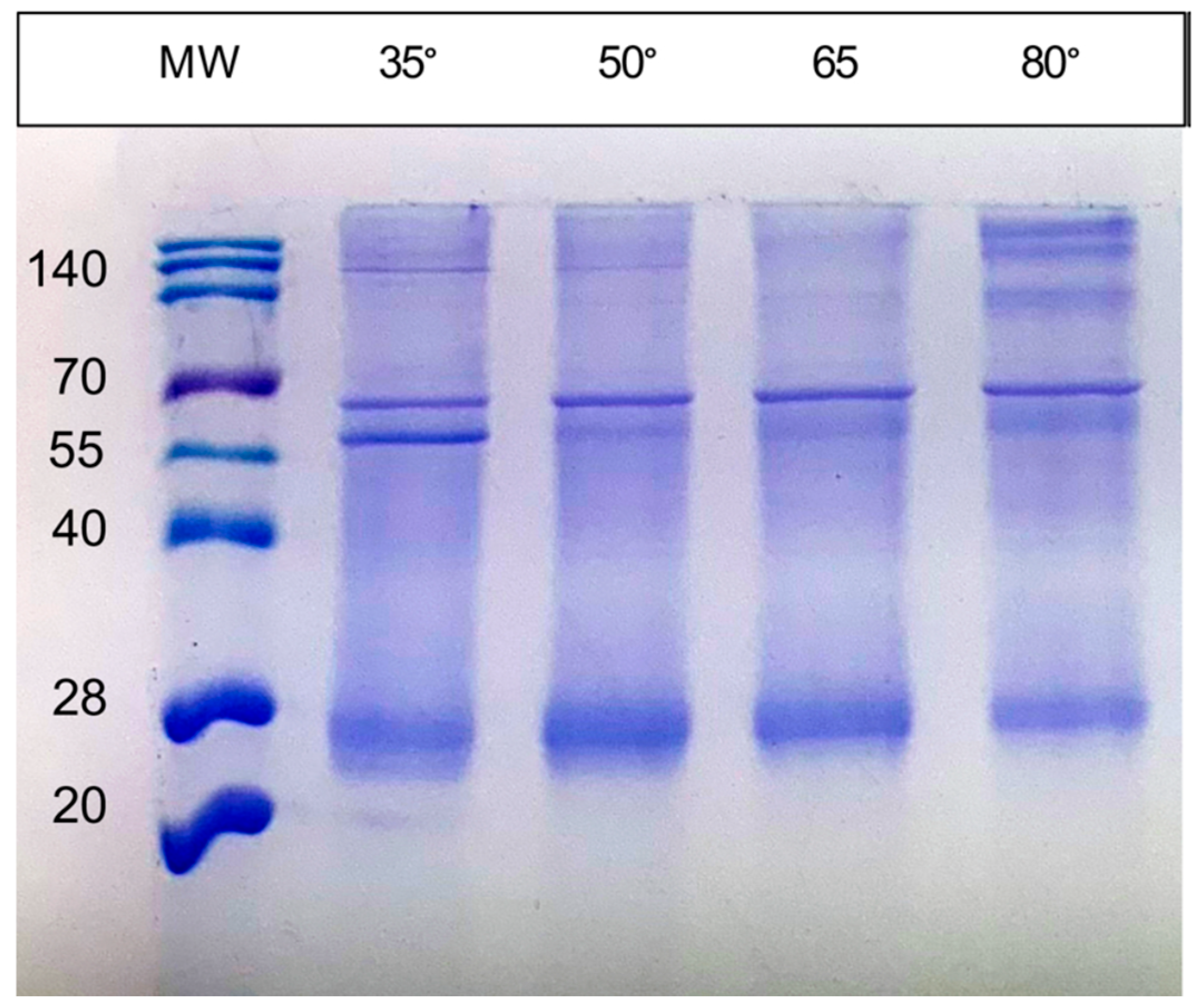 Biomolecules 15 01529 g004 Biomolecules 15 01529 g004