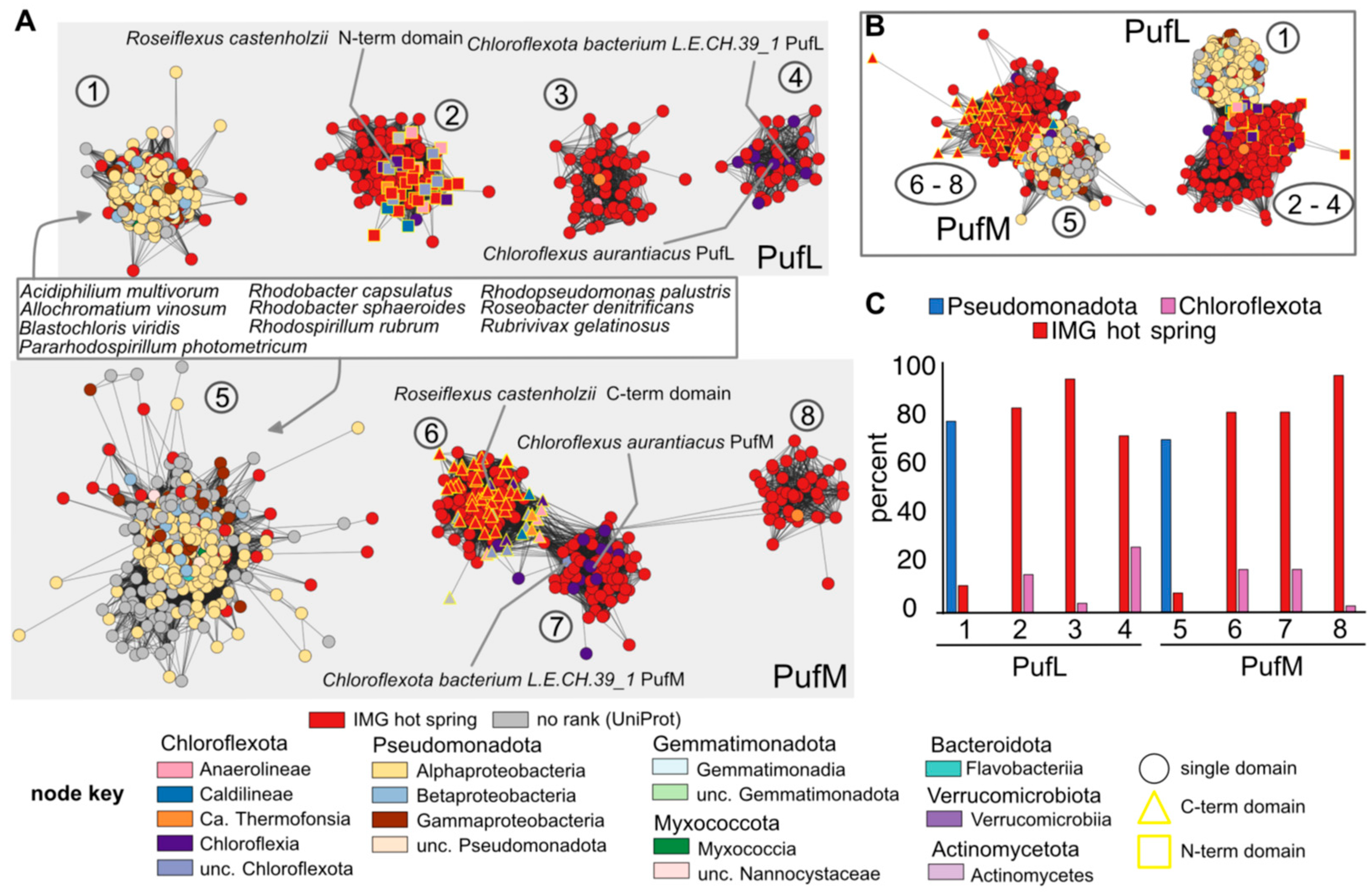 Biomolecules 15 01529 g008 Biomolecules 15 01529 g008