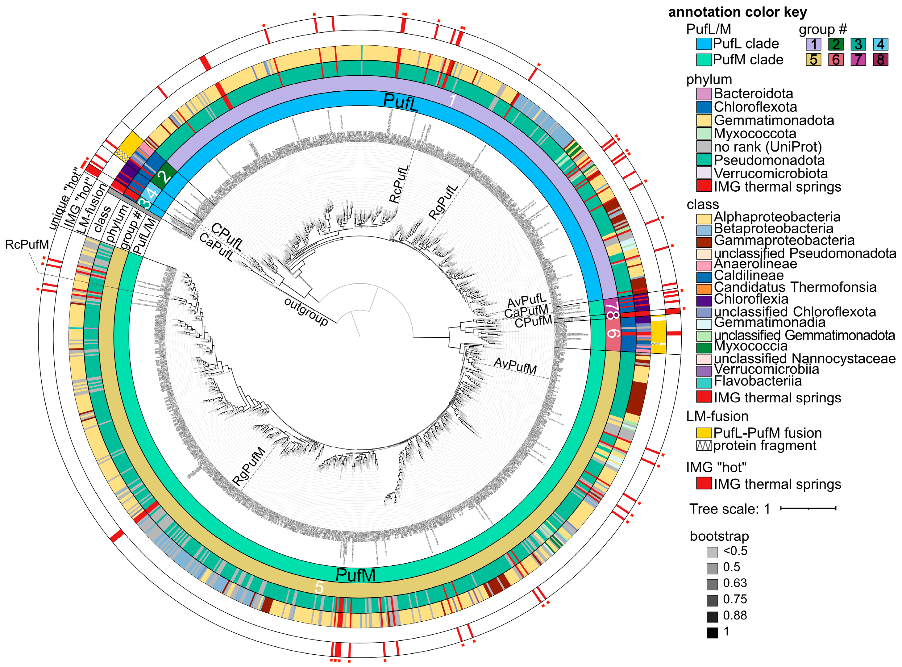 Biomolecules 15 01529 g009 Biomolecules 15 01529 g009