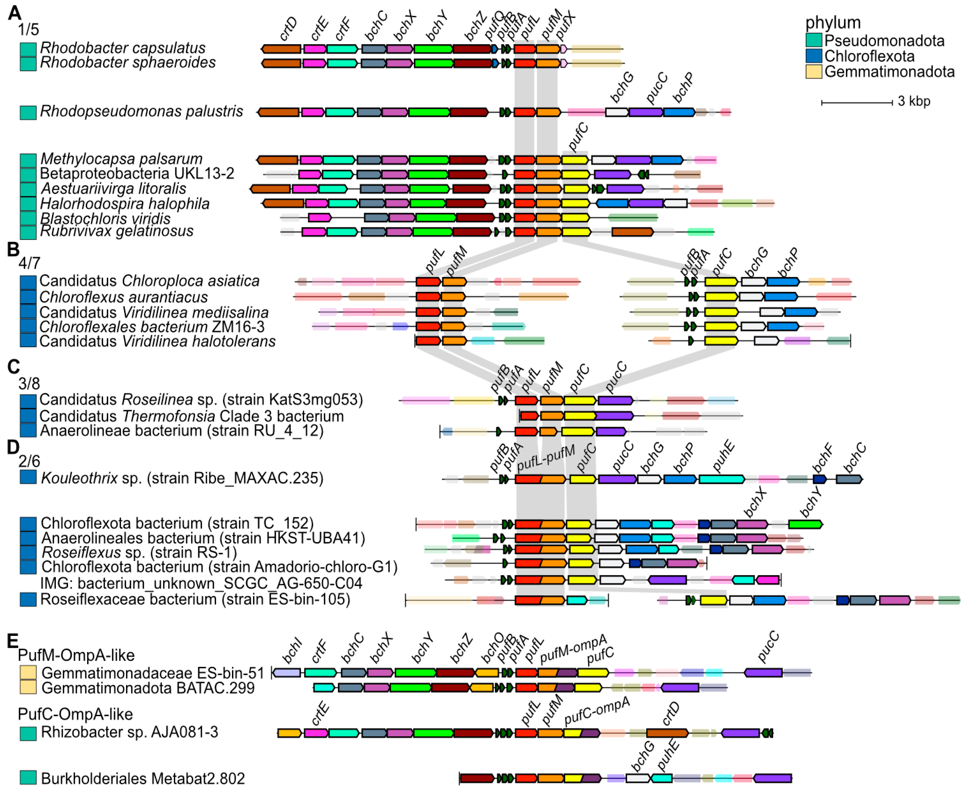 Biomolecules 15 01529 g010 Biomolecules 15 01529 g010