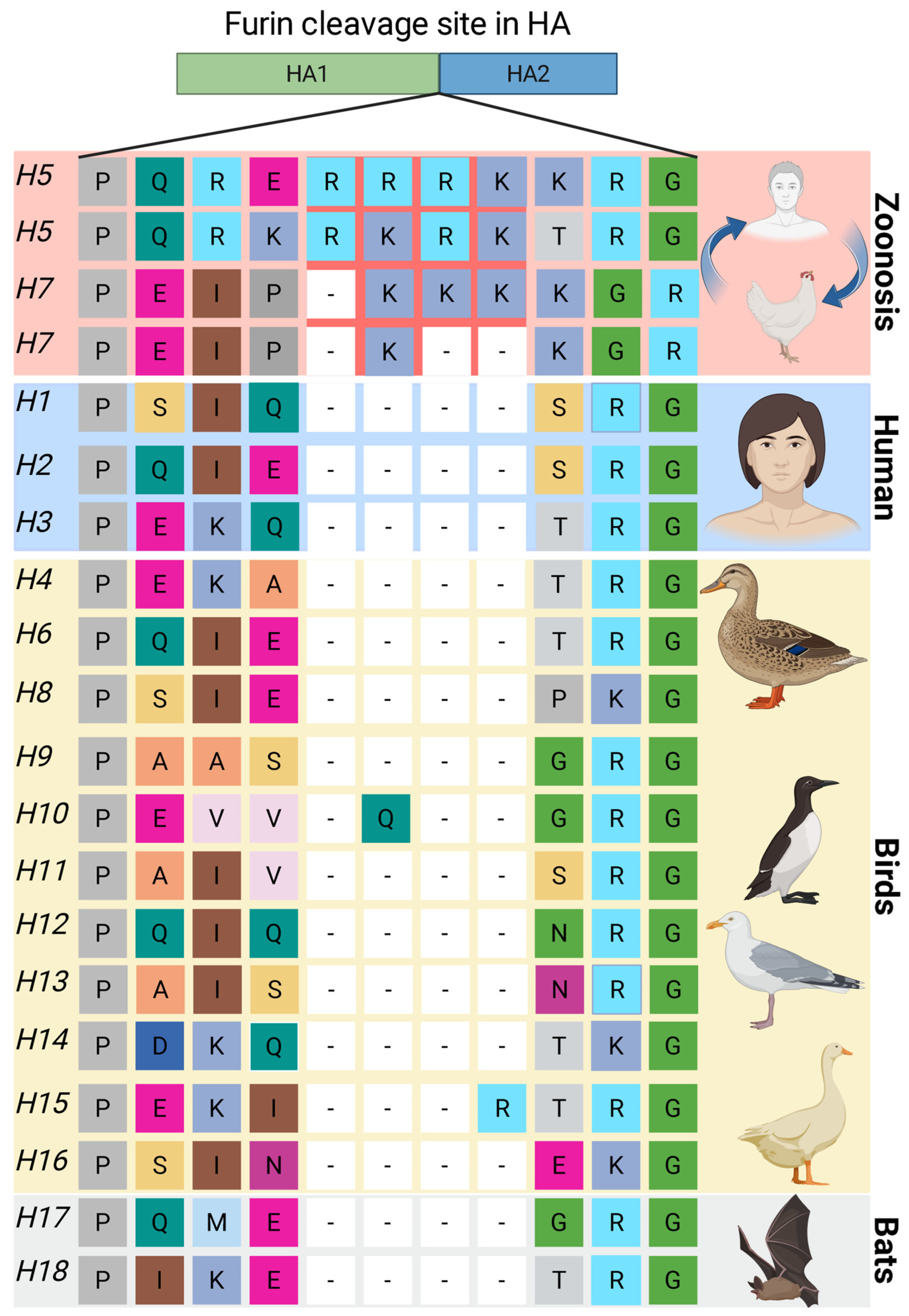 Biomolecules 15 01530 g006 Biomolecules 15 01530 g006