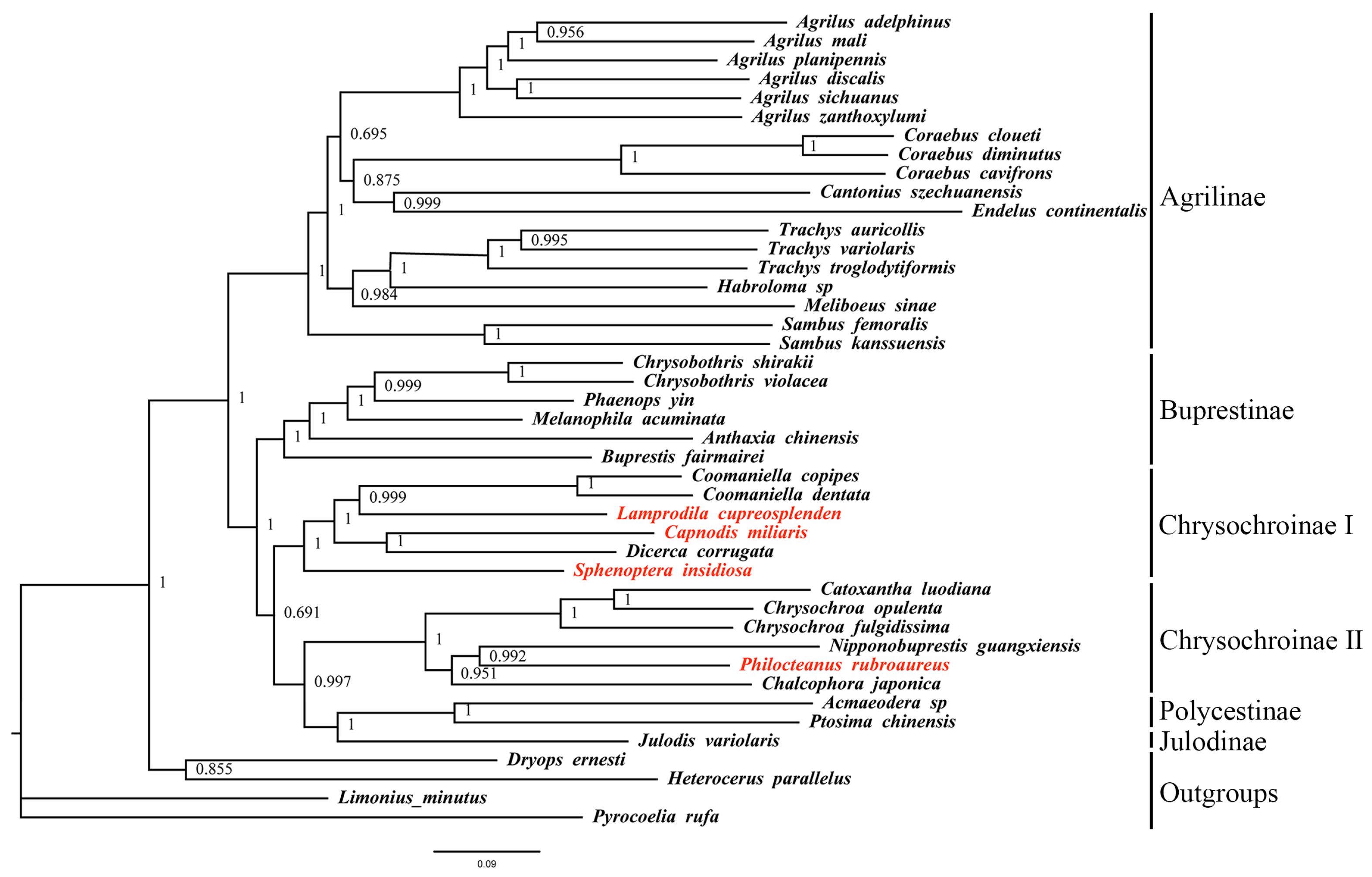 Biomolecules 15 01531 g005 Biomolecules 15 01531 g005