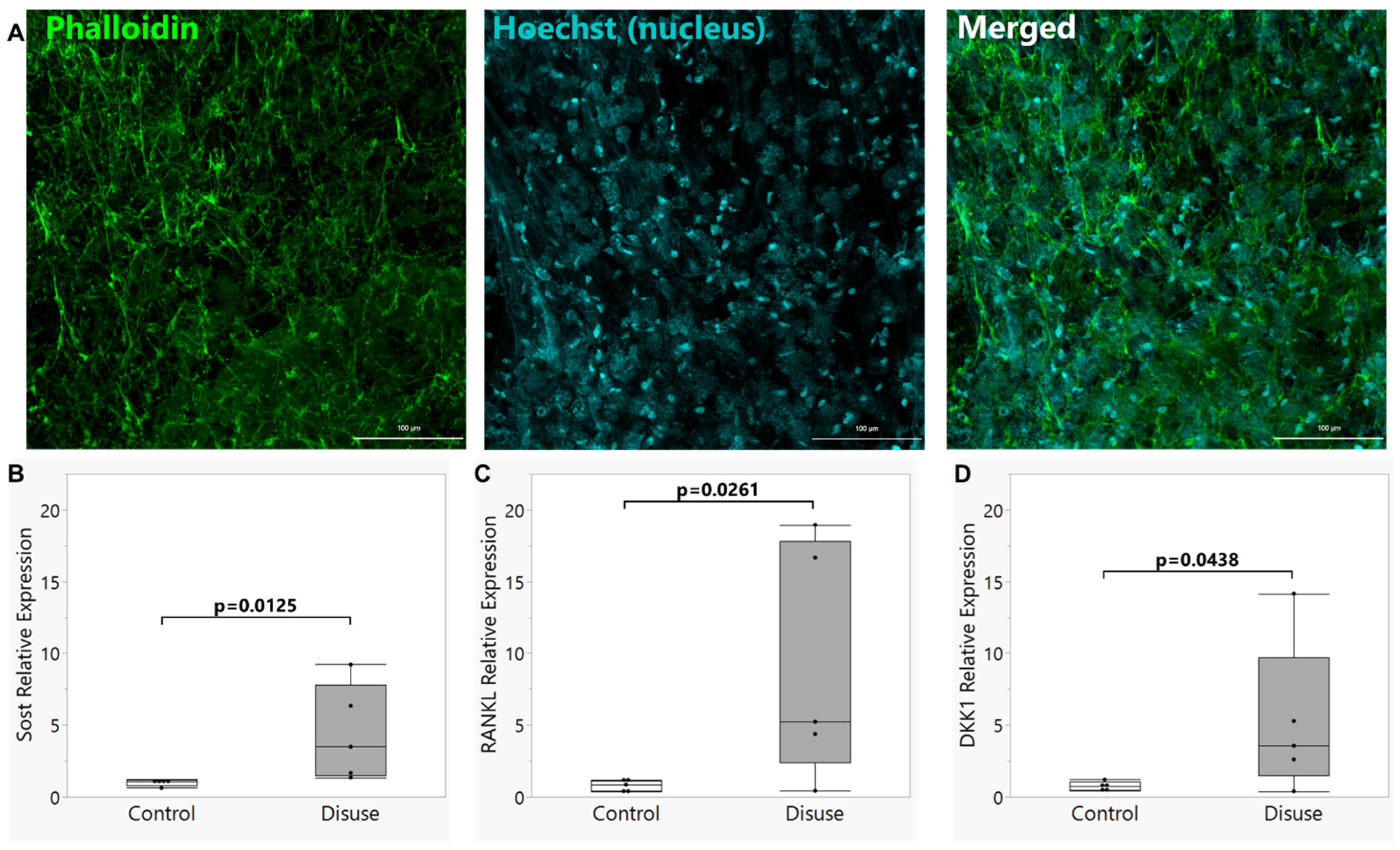 Biomolecules 15 01534 g001 Biomolecules 15 01534 g001