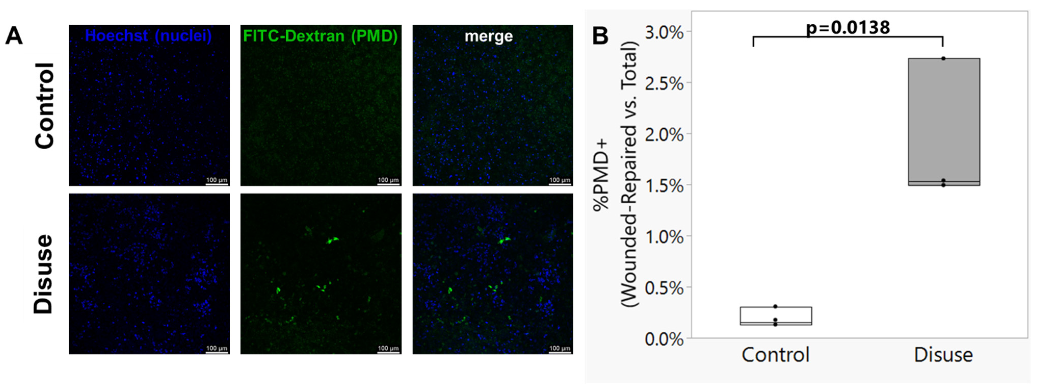 Biomolecules 15 01534 g002 Biomolecules 15 01534 g002