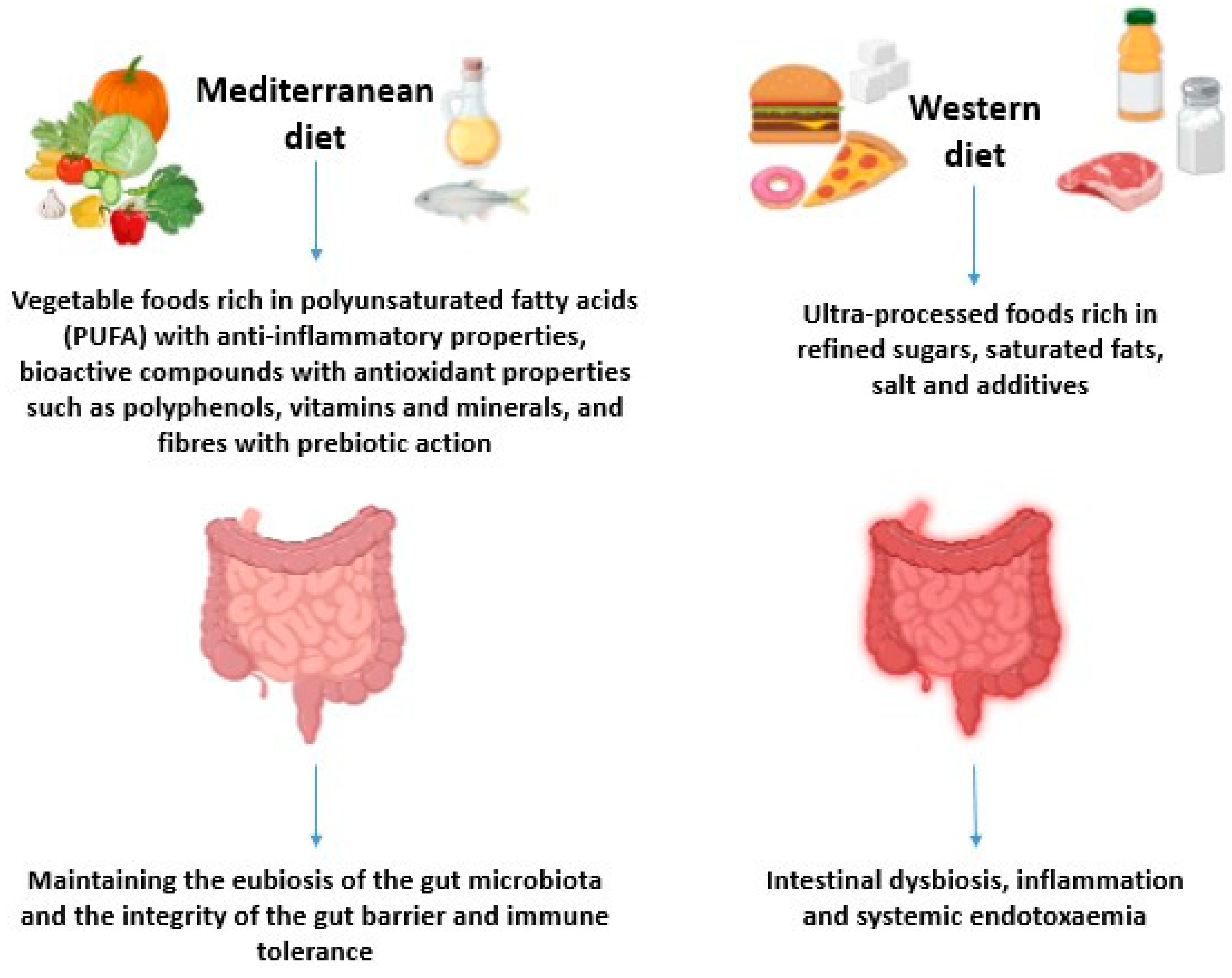 Biomolecules 15 01535 g001 Biomolecules 15 01535 g001