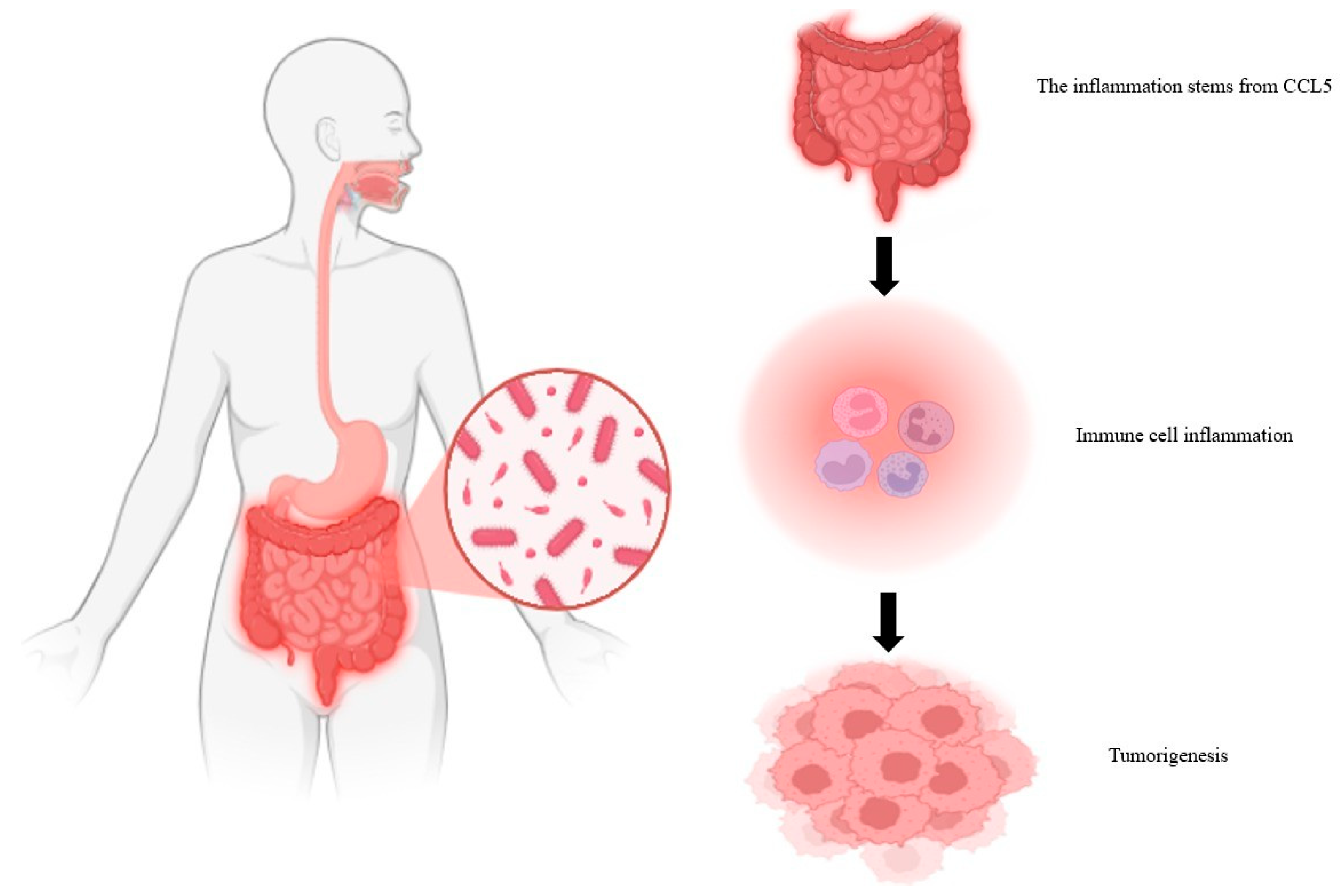 Biomolecules 15 01535 g002 Biomolecules 15 01535 g002