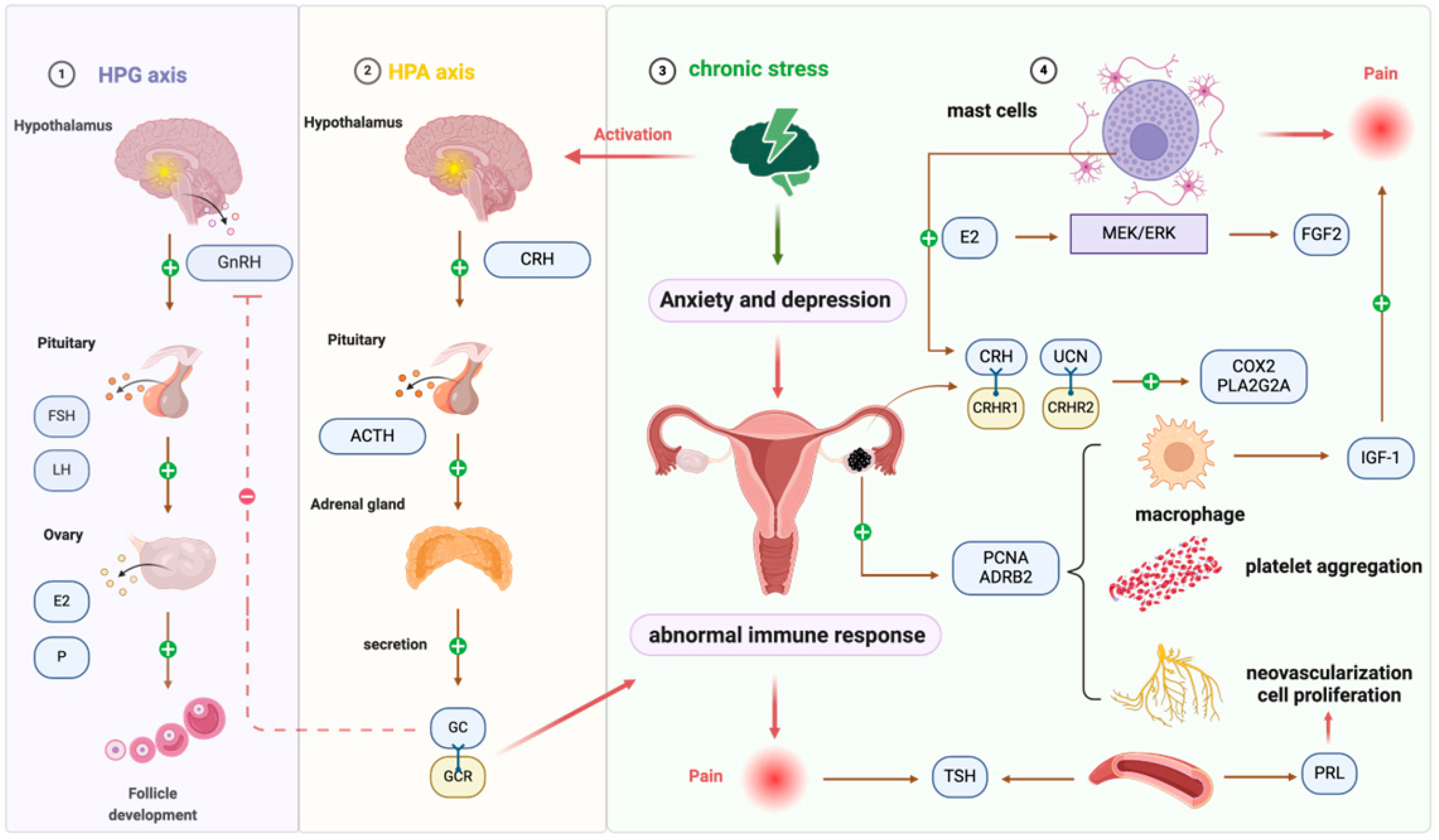 Biomolecules 15 01536 g002 Biomolecules 15 01536 g002