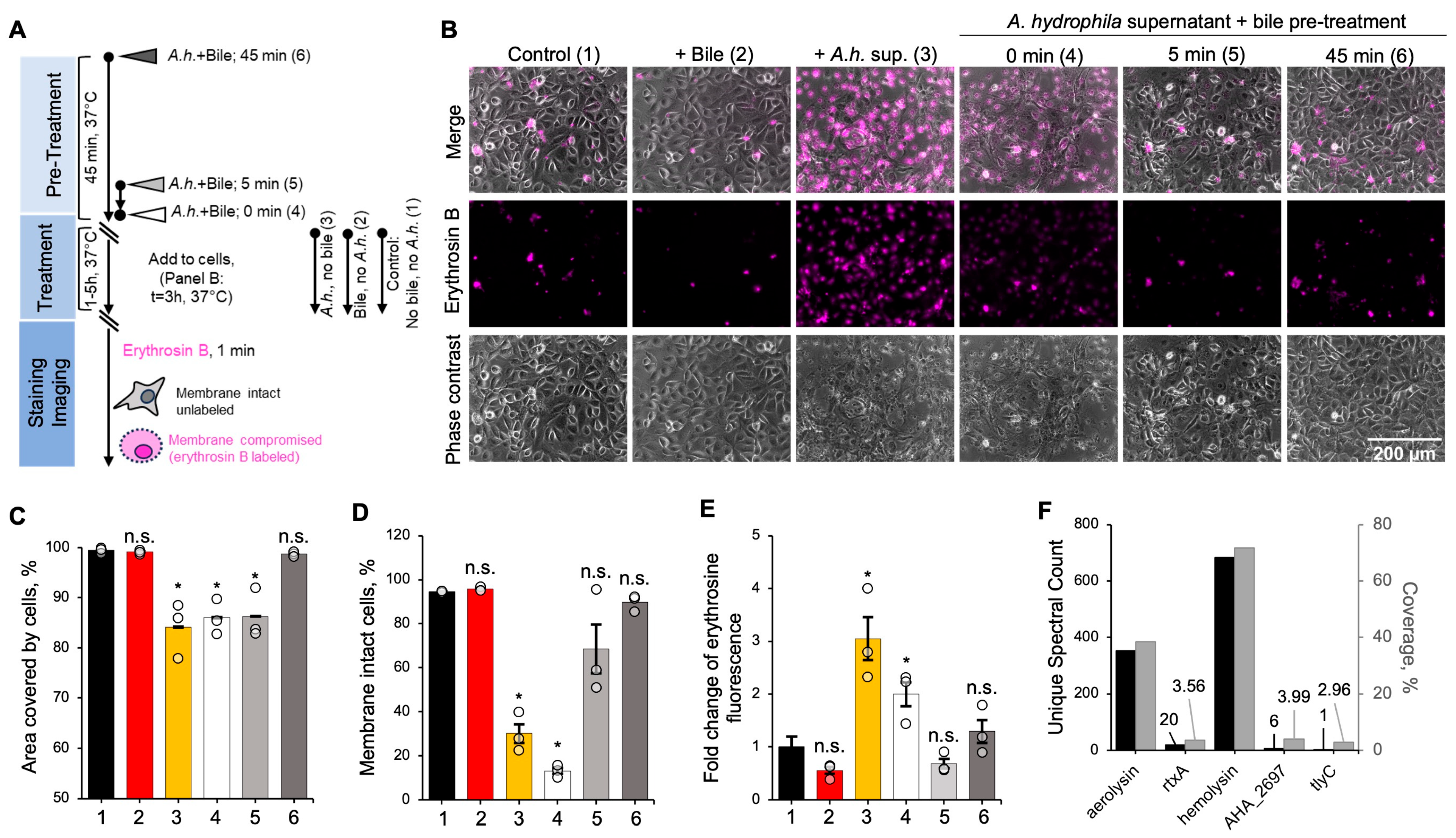 Biomolecules 15 01539 g001 Biomolecules 15 01539 g001