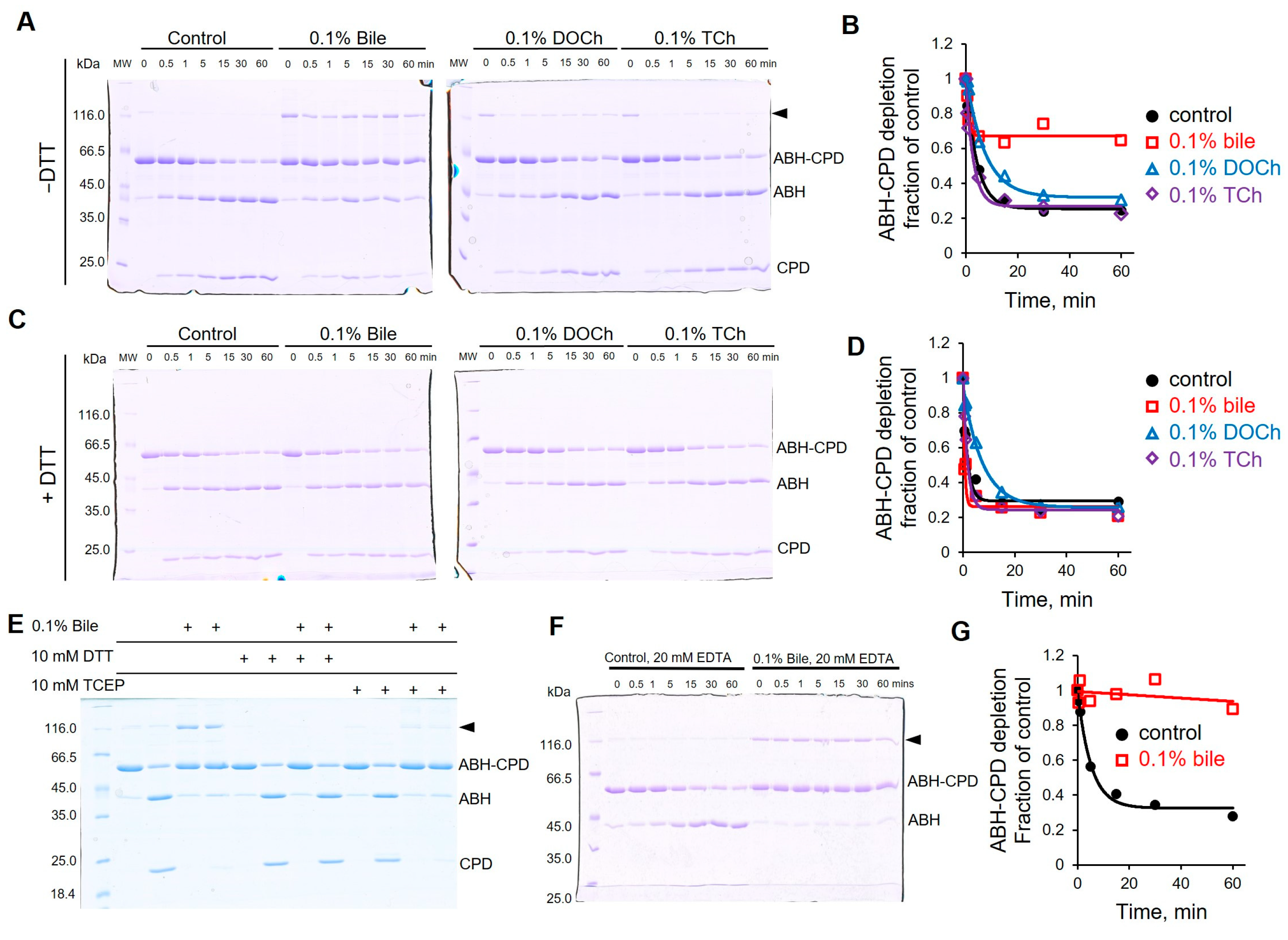Biomolecules 15 01539 g007 Biomolecules 15 01539 g007