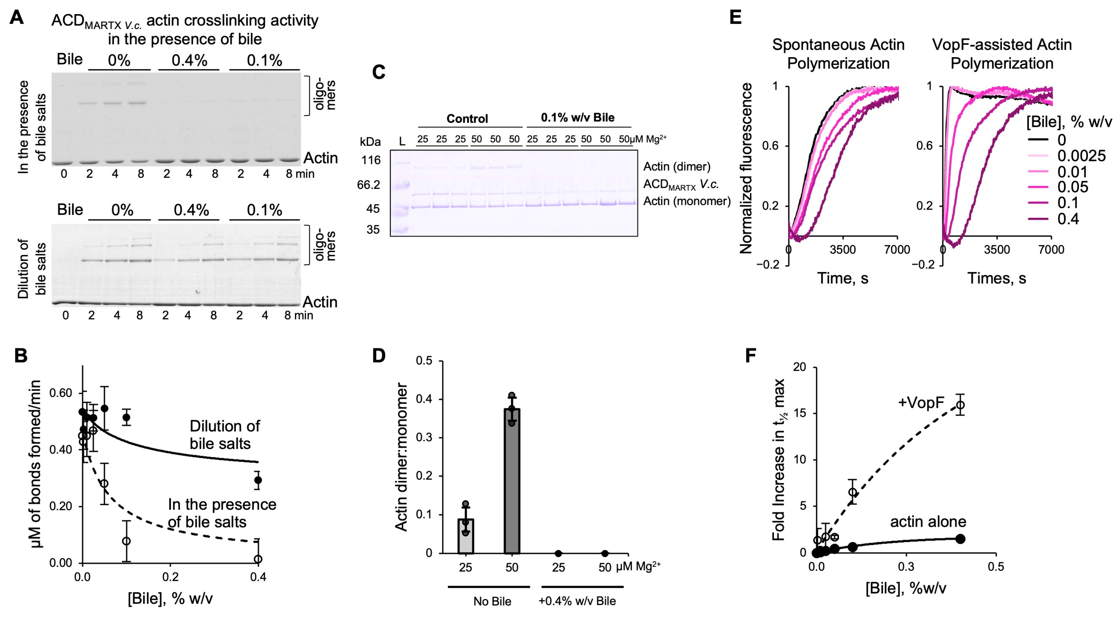 Biomolecules 15 01539 g008 Biomolecules 15 01539 g008