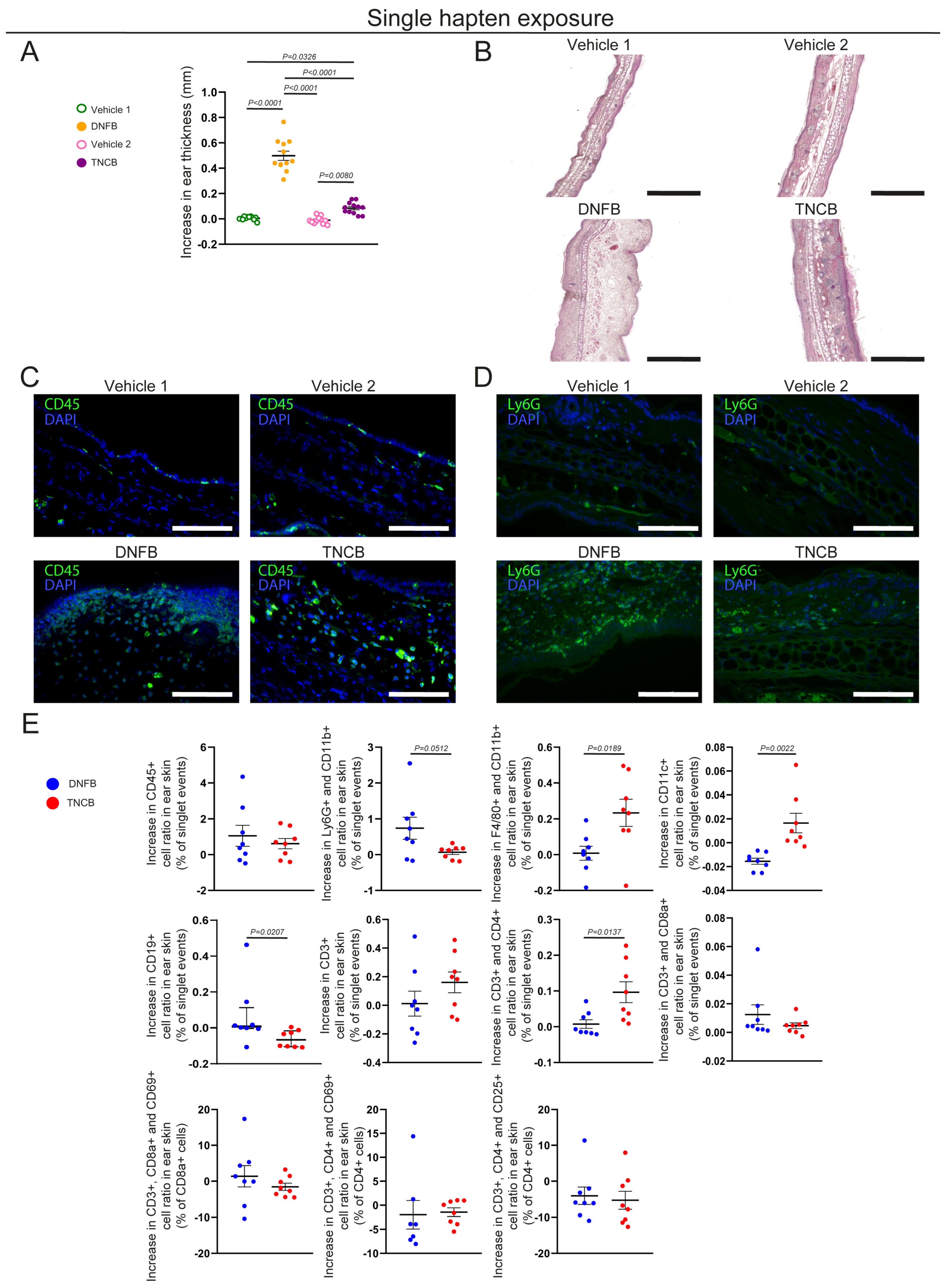 Biomolecules 15 01540 g001