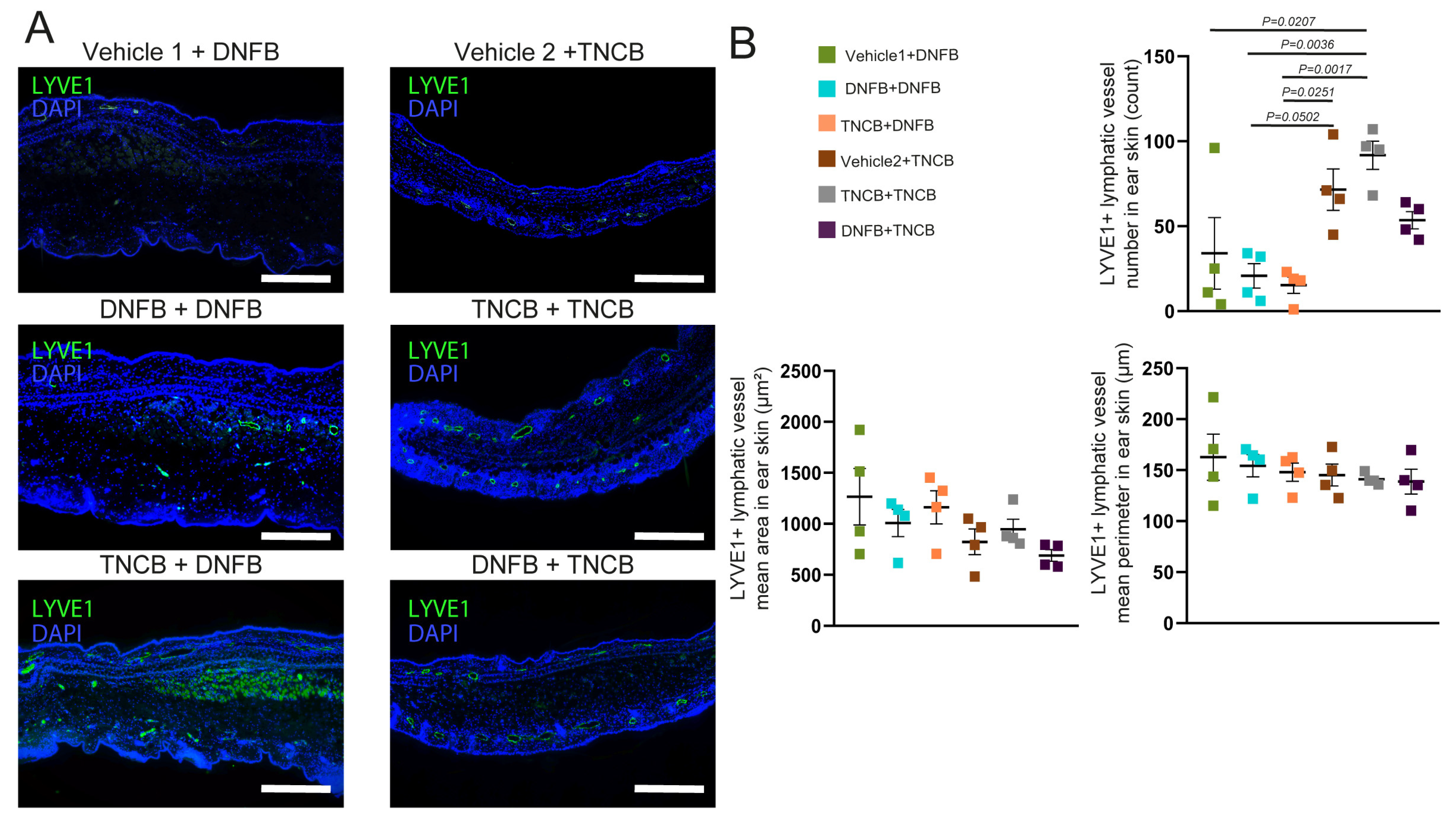 Biomolecules 15 01540 g004